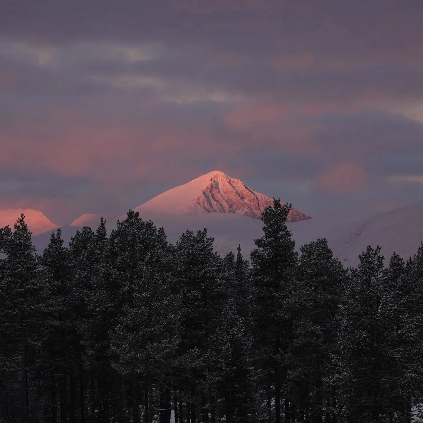 Hamnsaga er ledig for de som &oslash;nsker &aring; pr&oslash;ve isfiske og f&aring; litt julestemning i desember😊