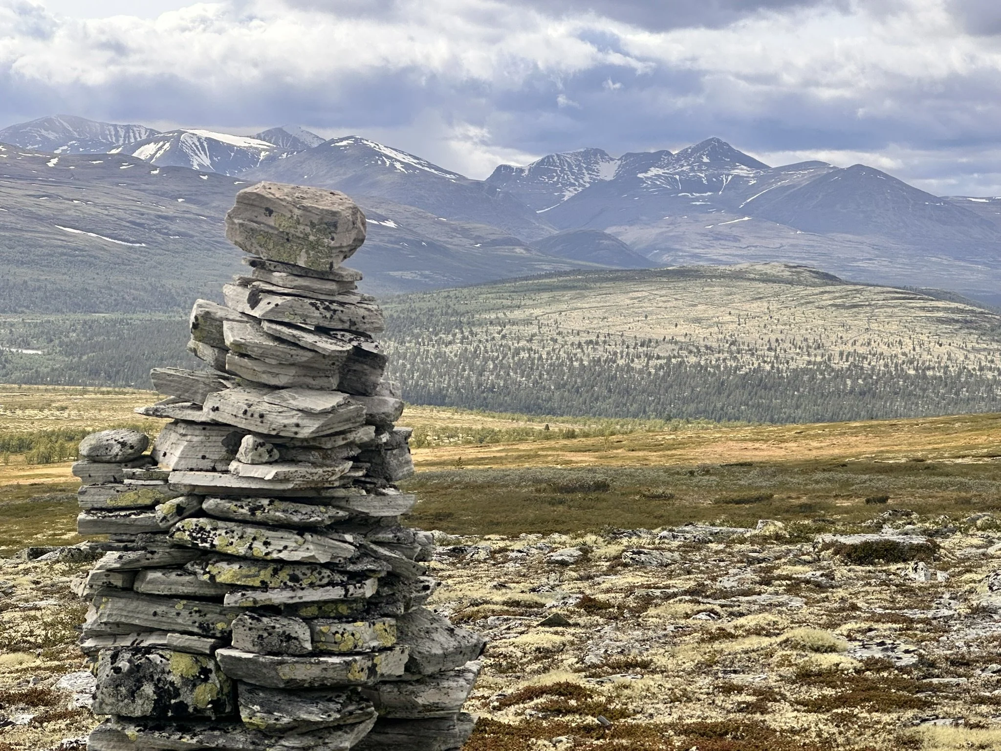 Digitalt fjellstyremøte 17.03.26