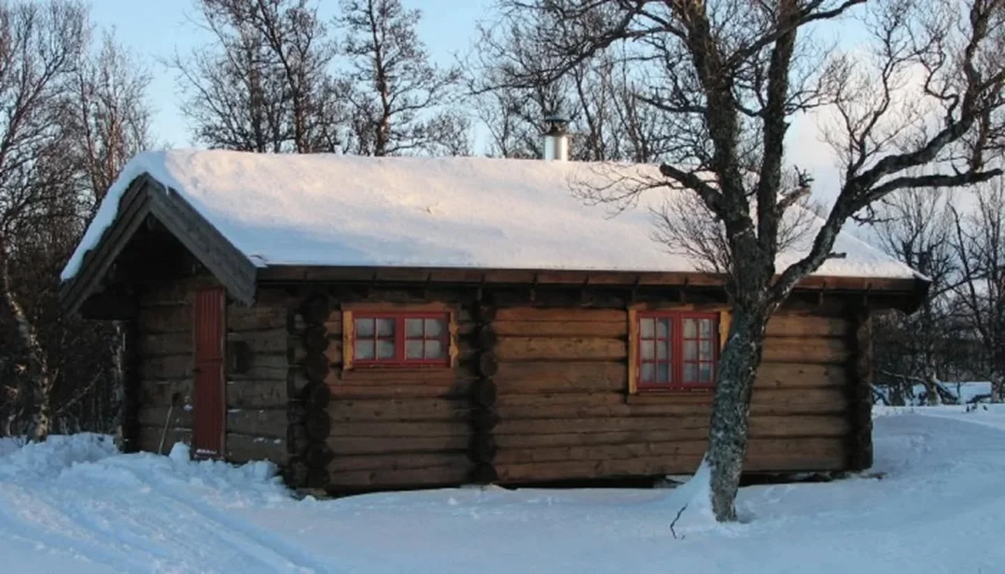 N&aring; l&aring;ses fjellstyrets buer🗝🔒🔐

Buene i fjellet vil n&aring; v&aelig;re stengt frem til ca 20. juni.

Vi h&aring;per fjellets fastboende f&aring;r en rolig og fin yngle, hekke og kalvingstid🥰

Spor og sportegn tyder p&aring; en oppsvin