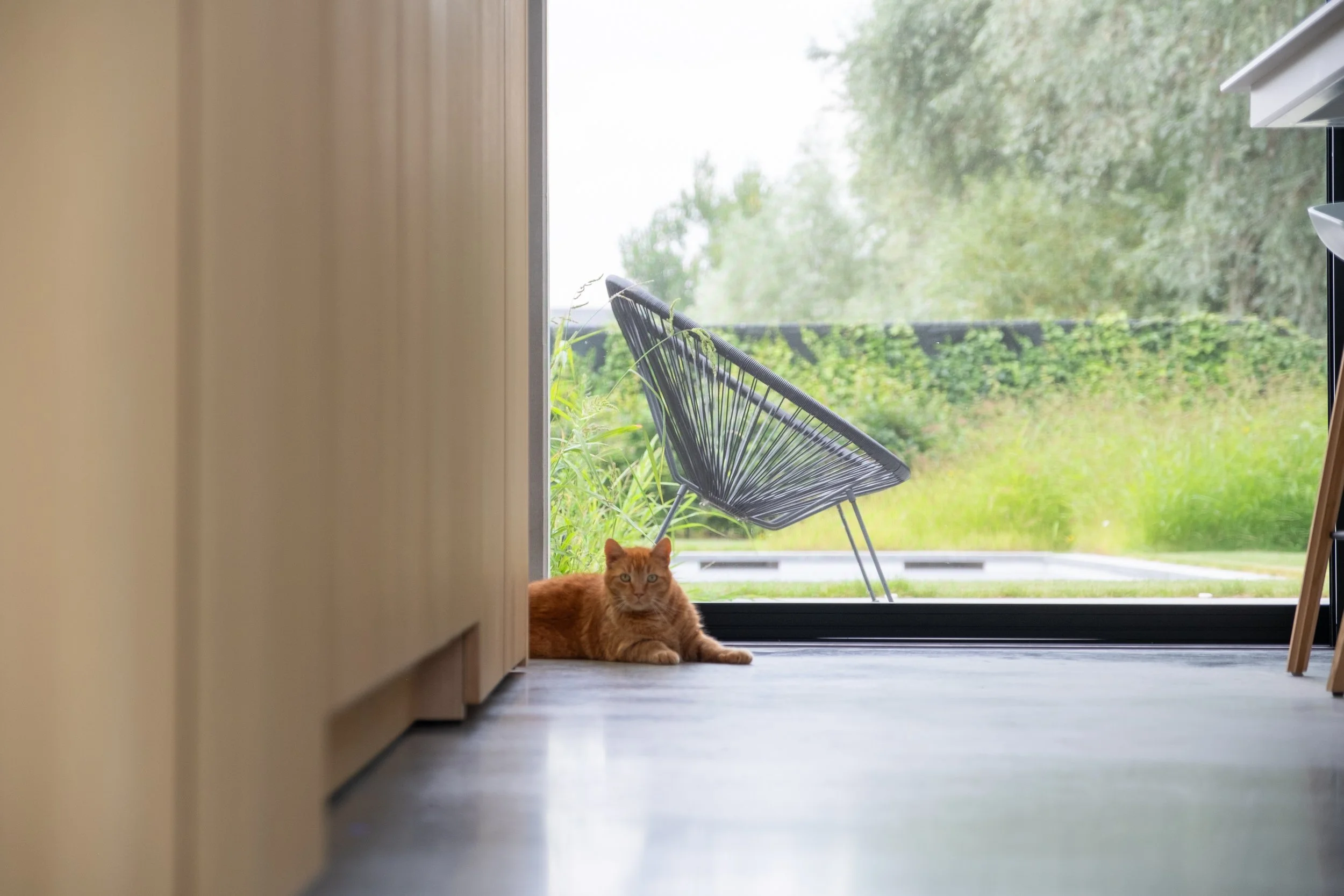 Arty Pictures-13.jpg