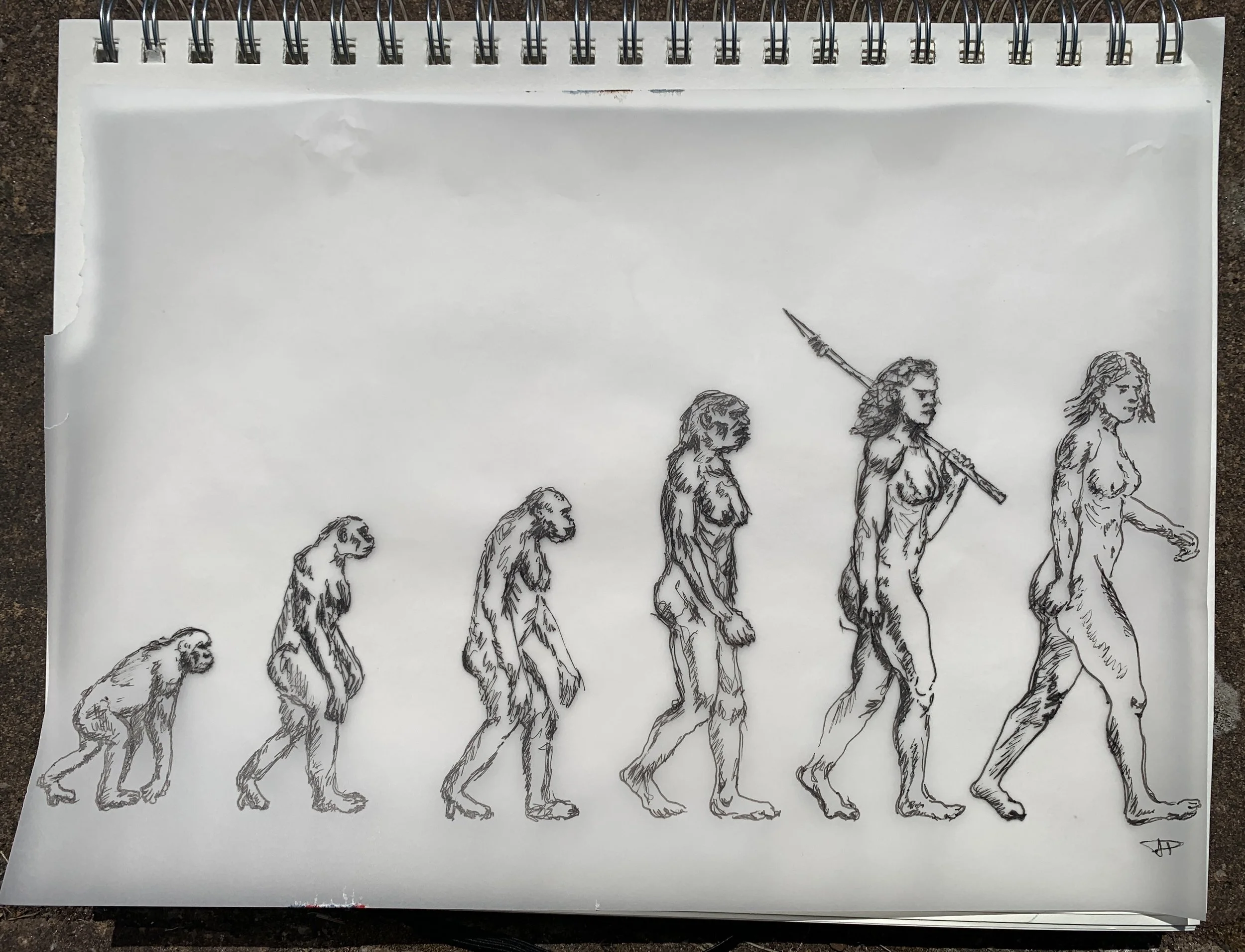 March of Progress - evolution of woman 