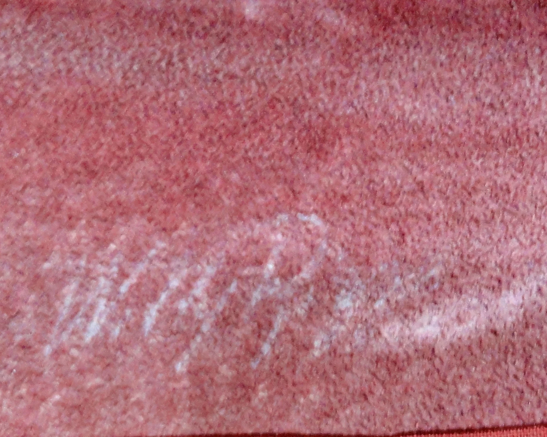 DSC03166.jpg