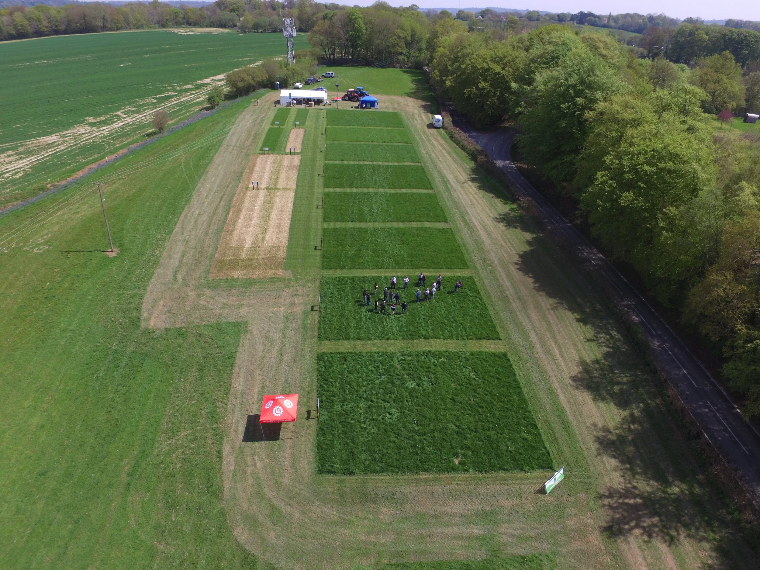 Trial Plot Information Leaflet