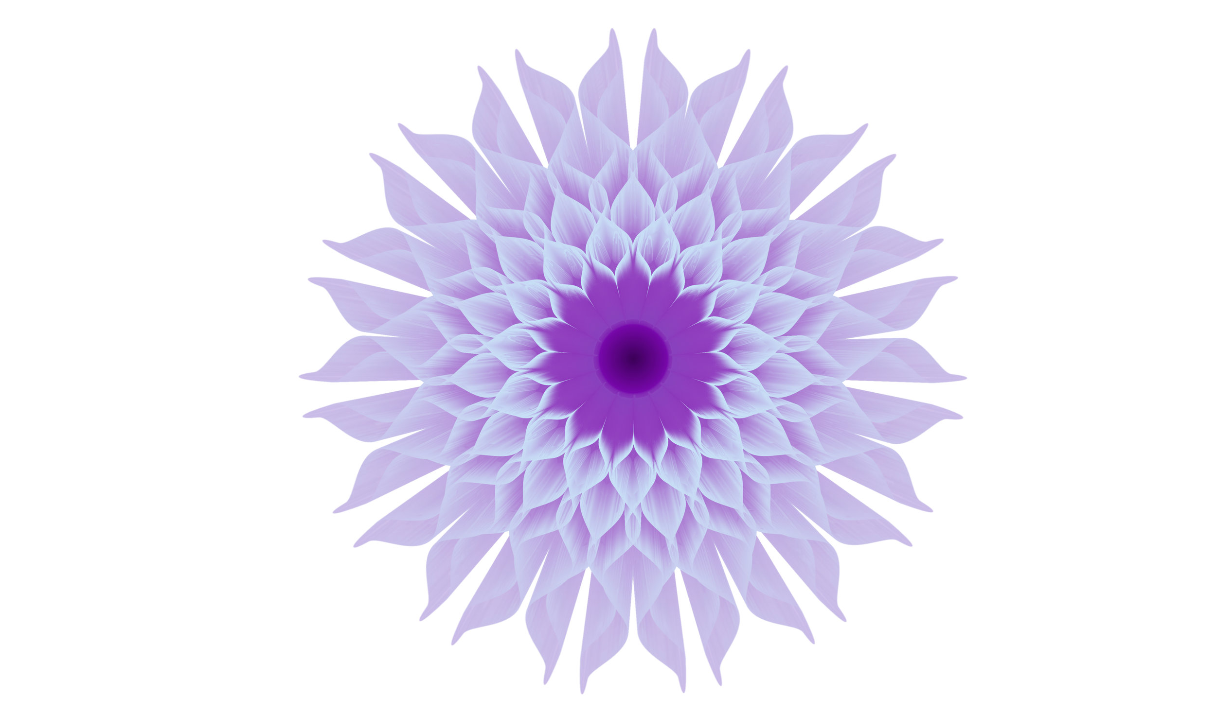  Vector art exploring curves and color gradients, Adobe Illustrator