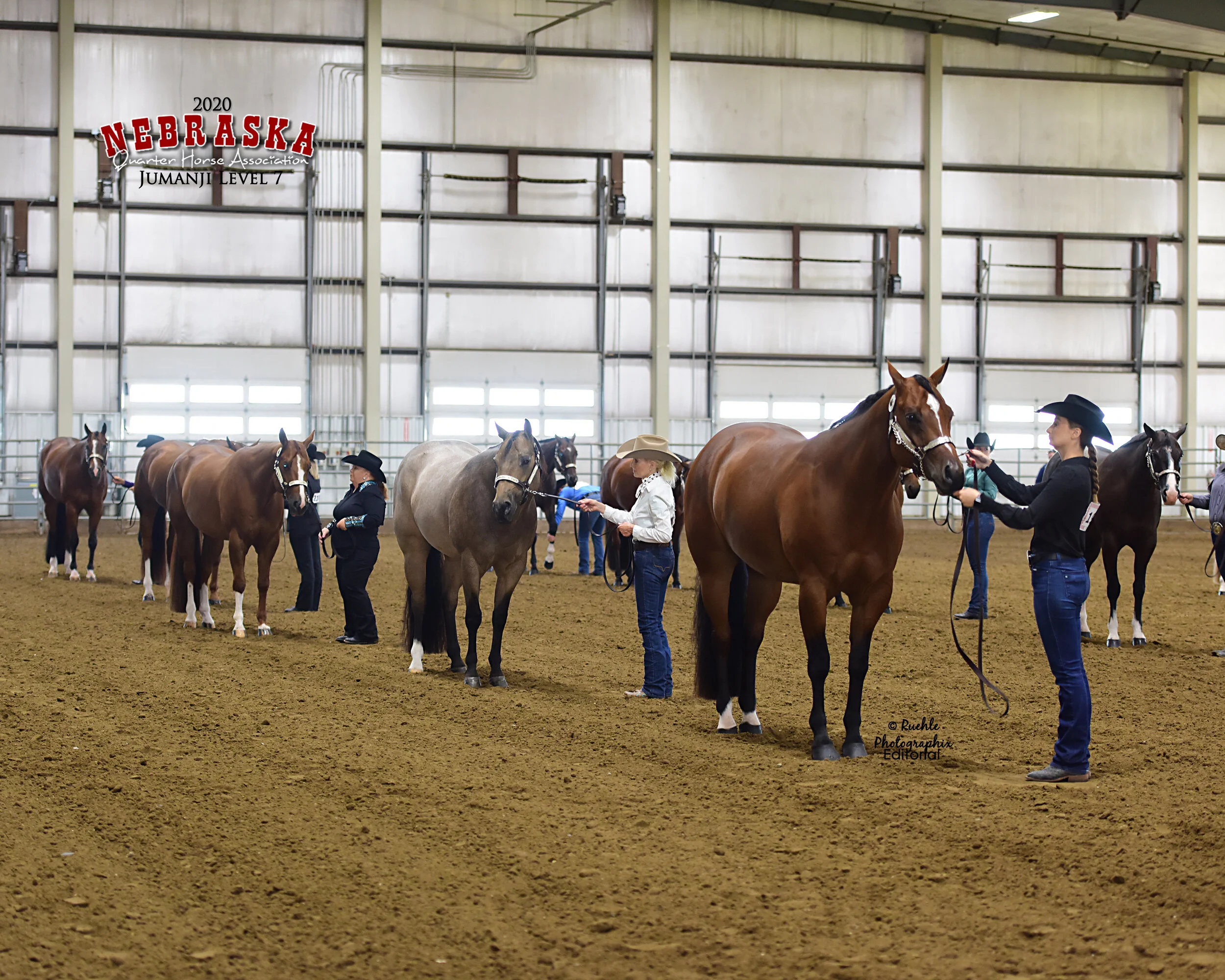 to the nebraska quarter horse association
