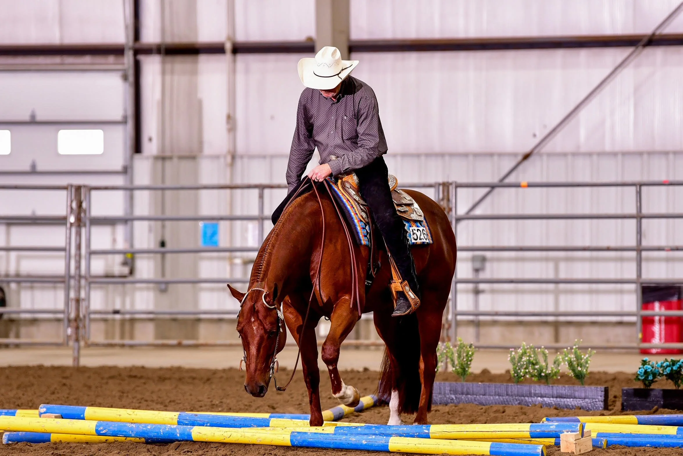 A person wearing a cowboy hat and checkered shirt riding a brown horse inside an indoor riding arena with metal railings.