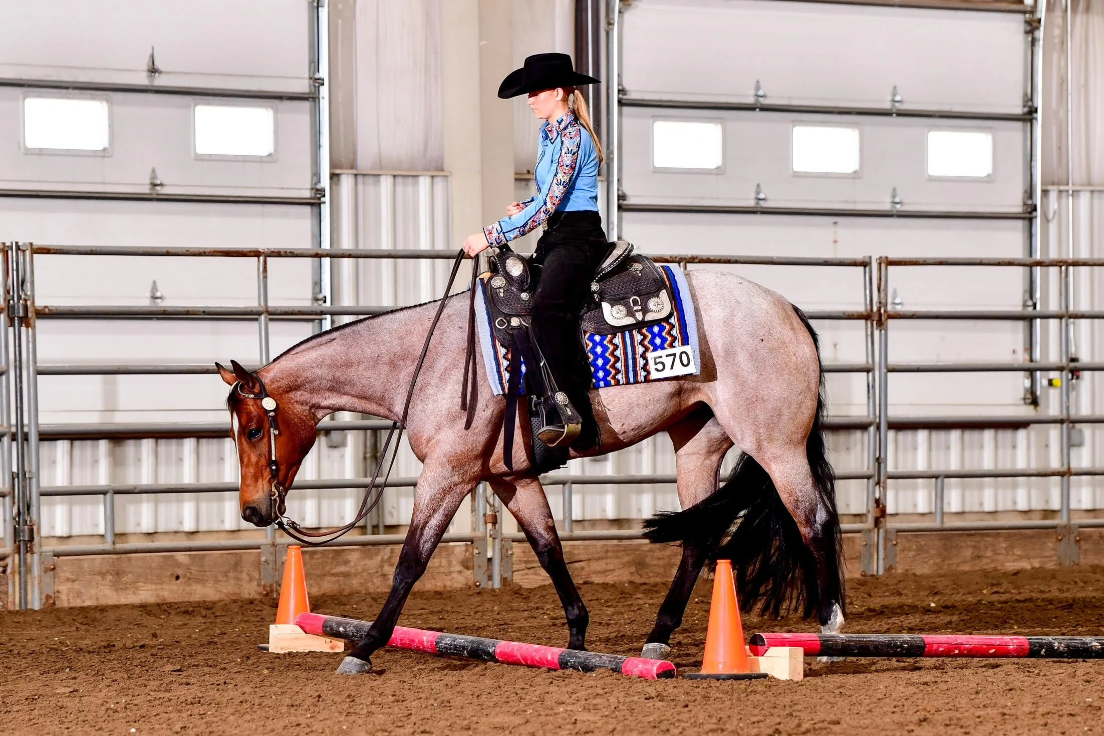A woman riding a horse in an indoor riding arena, wearing a black cowboy hat, a blue long-sleeve shirt with embroidery, black pants, and boots. The horse is gray with a saddle and bridle, and the woman is guiding the horse through a training exercise involving orange cones and a small jump.