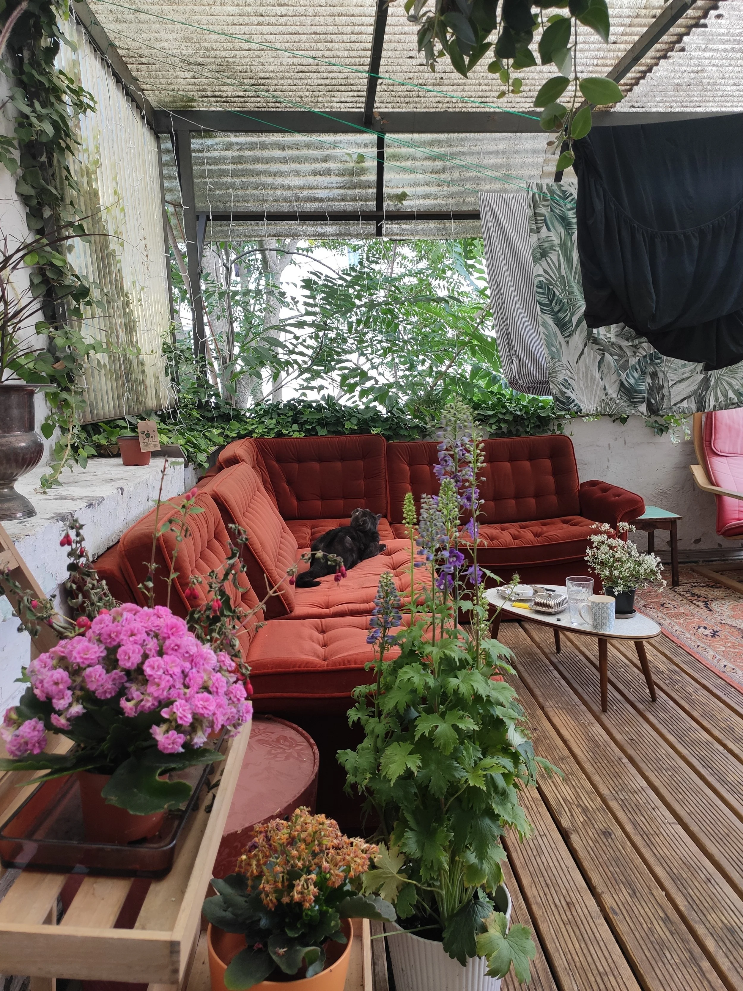 Süßes WG Zimmer in schöner zentraler Altbau WG mit Terrasse, Wohnzimmer, Badewanne & Katze