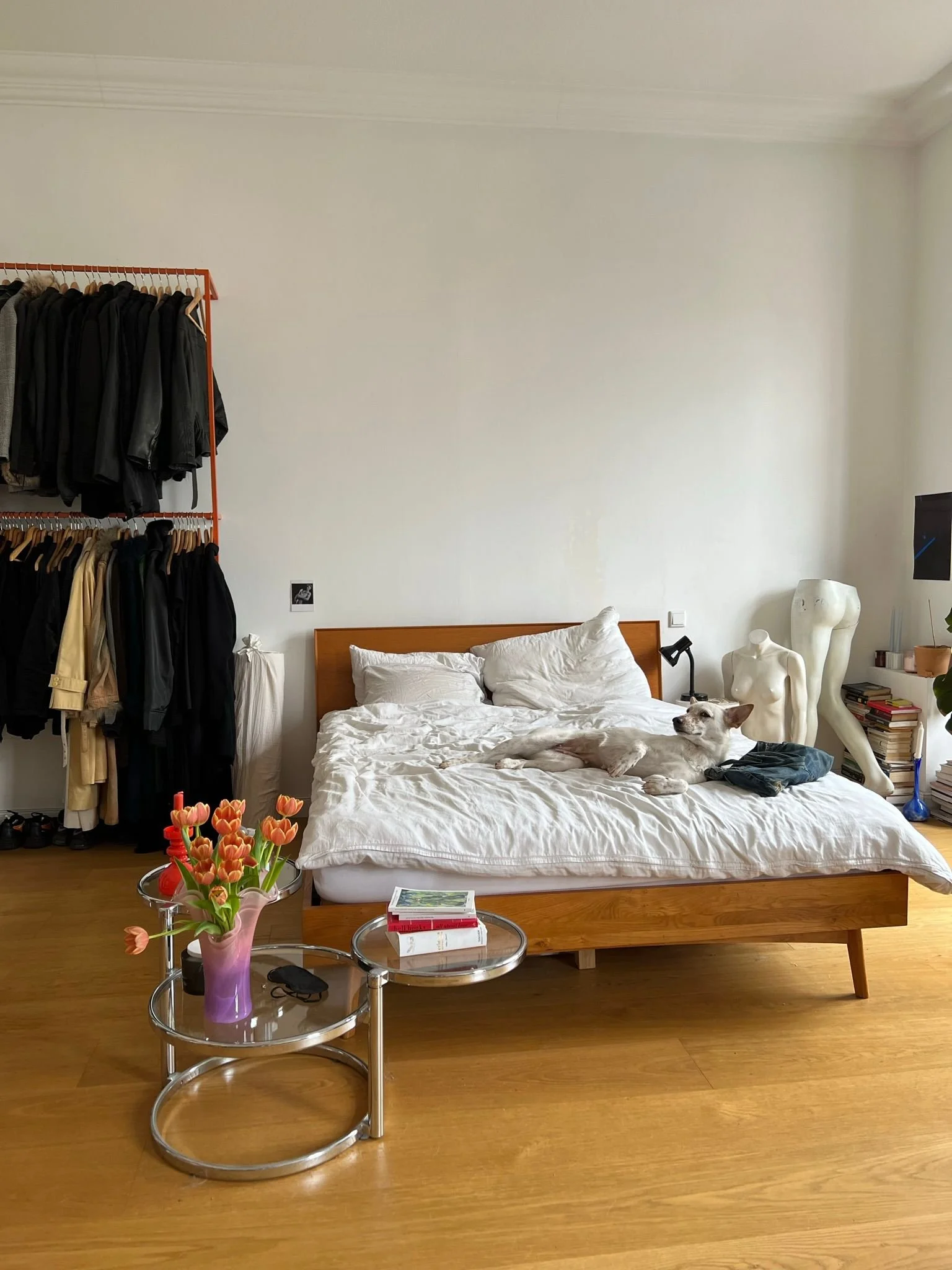 schönes, großes Zimmer in Altbauwohnung