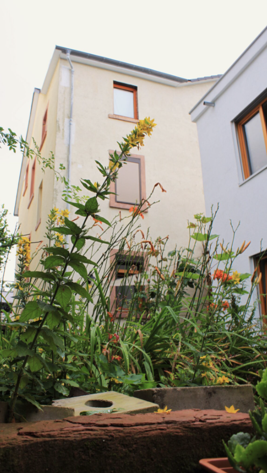 Freies Zimmer in selbstverwaltetem Wohnprojekt in Offenbach-Bürgel