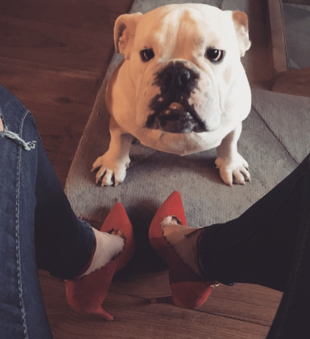@ itsmegeorgiew My hot date👠🐶 #GirlInBC