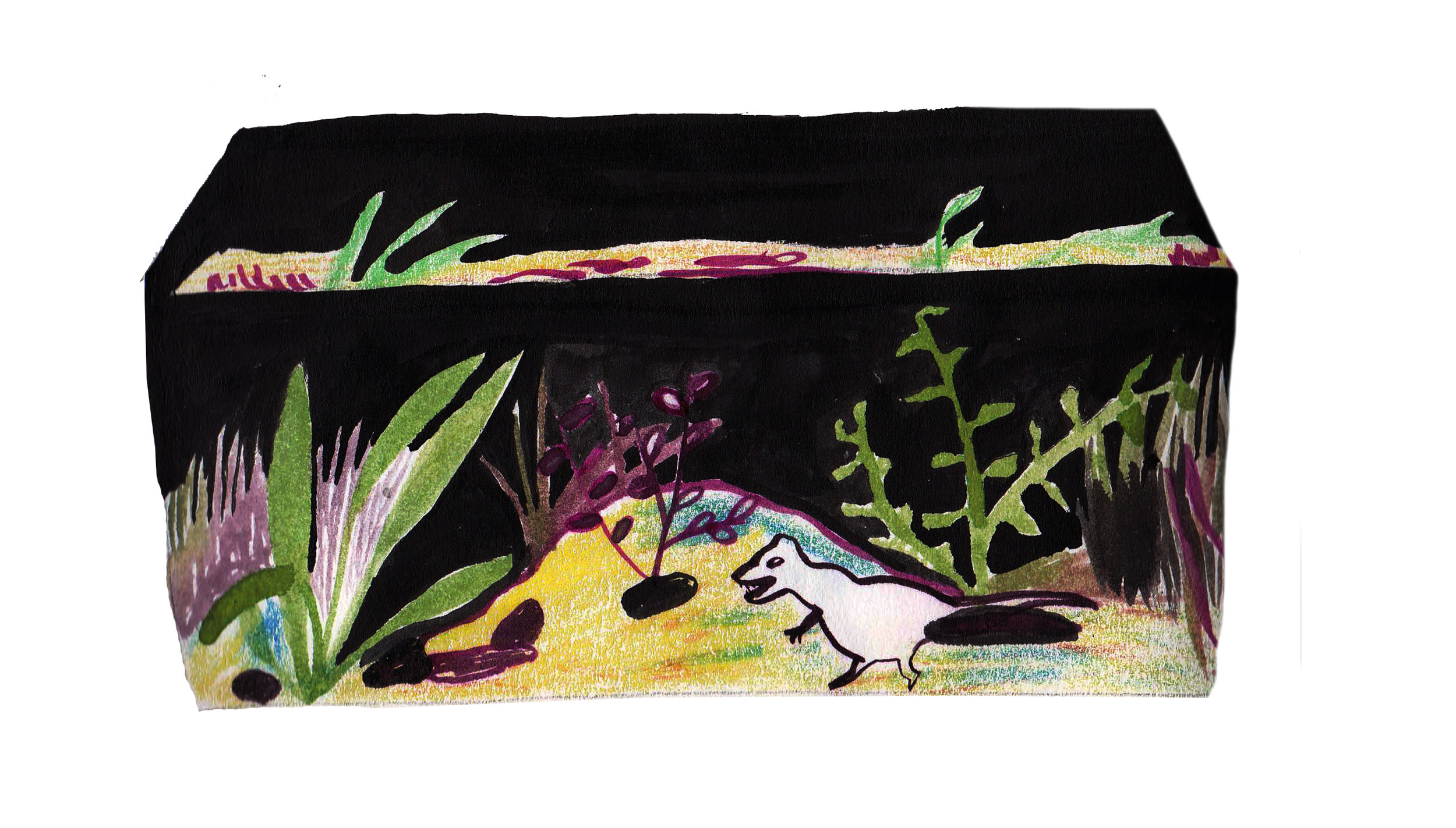 fishtankwebsite.jpg