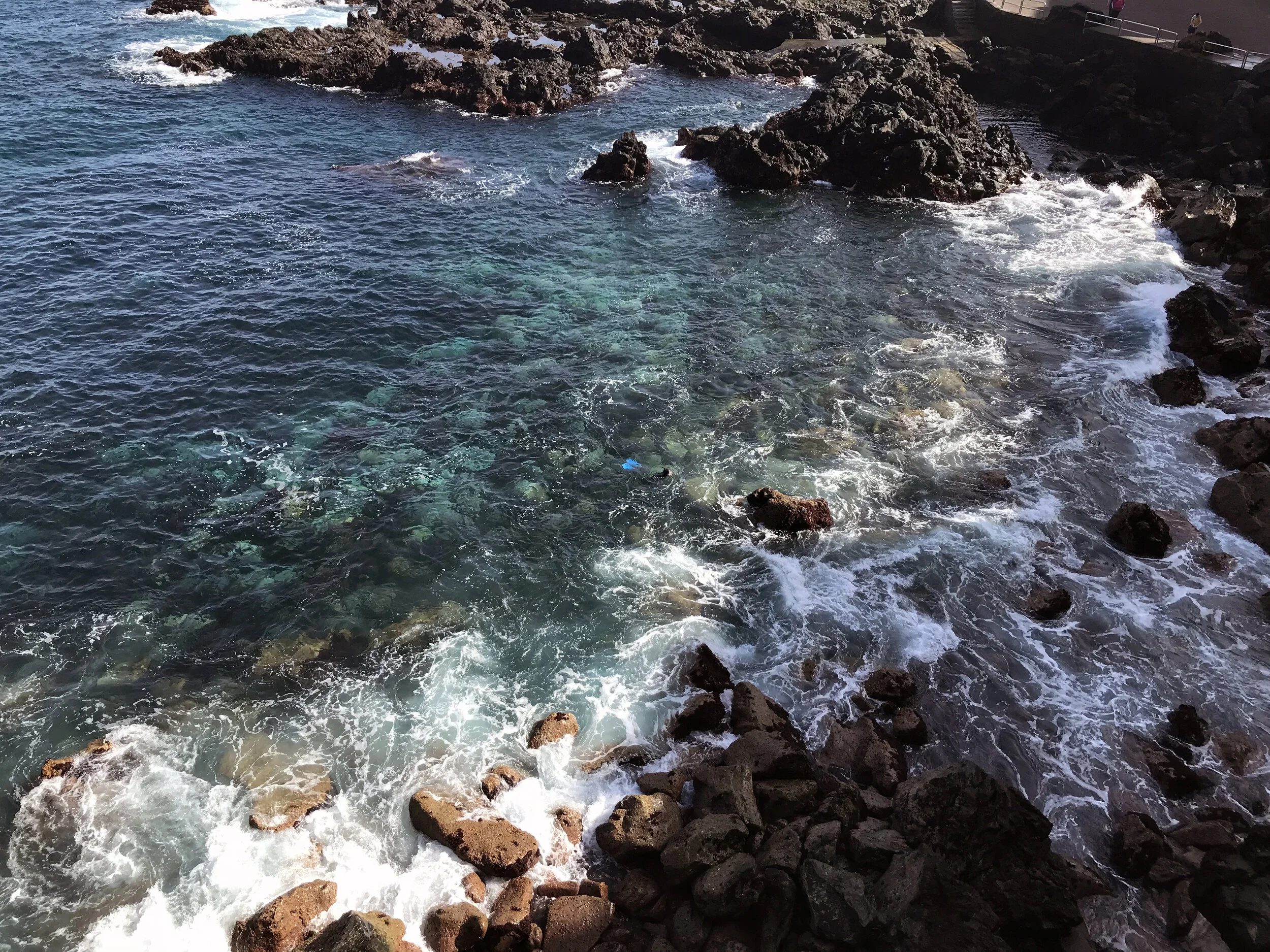 Scuba in the harbour.jpg