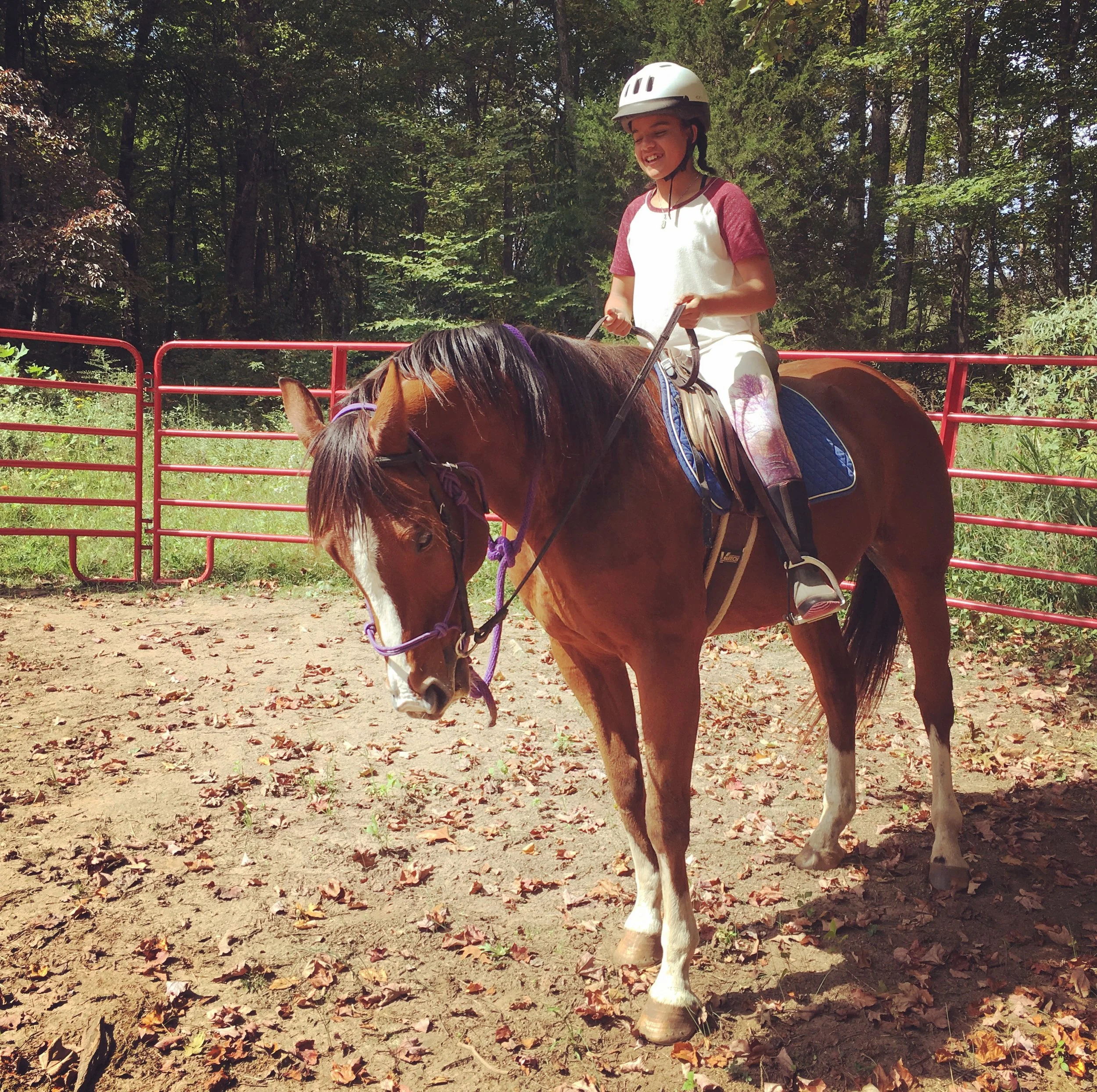 Students connect daily with the horses, sheep, chickens, rabbits and dogs that live on our campus