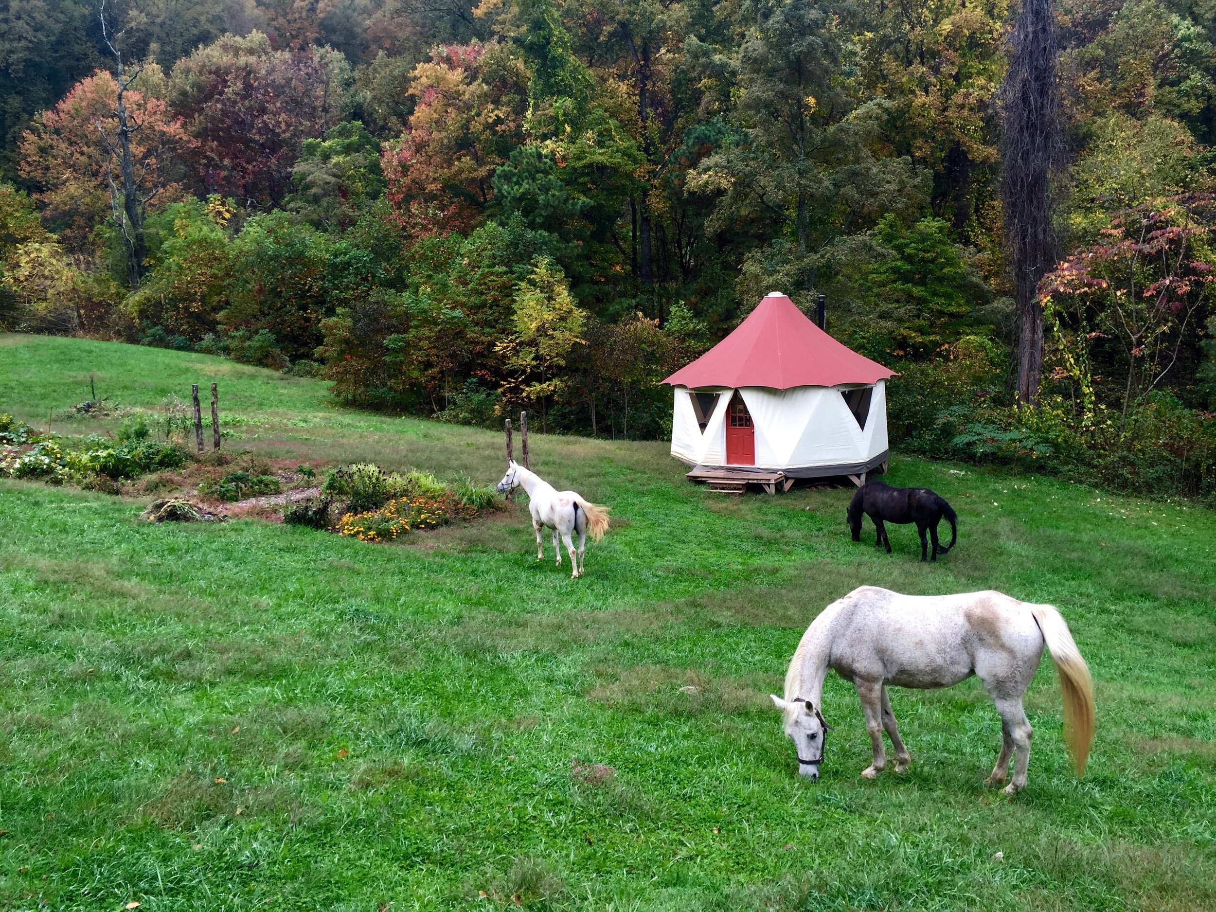 School of Living Arts is a truly enchanted place to learn, play and grow