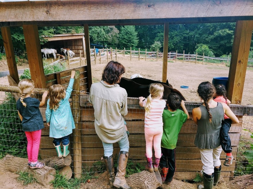 Visiting the animals on our farm