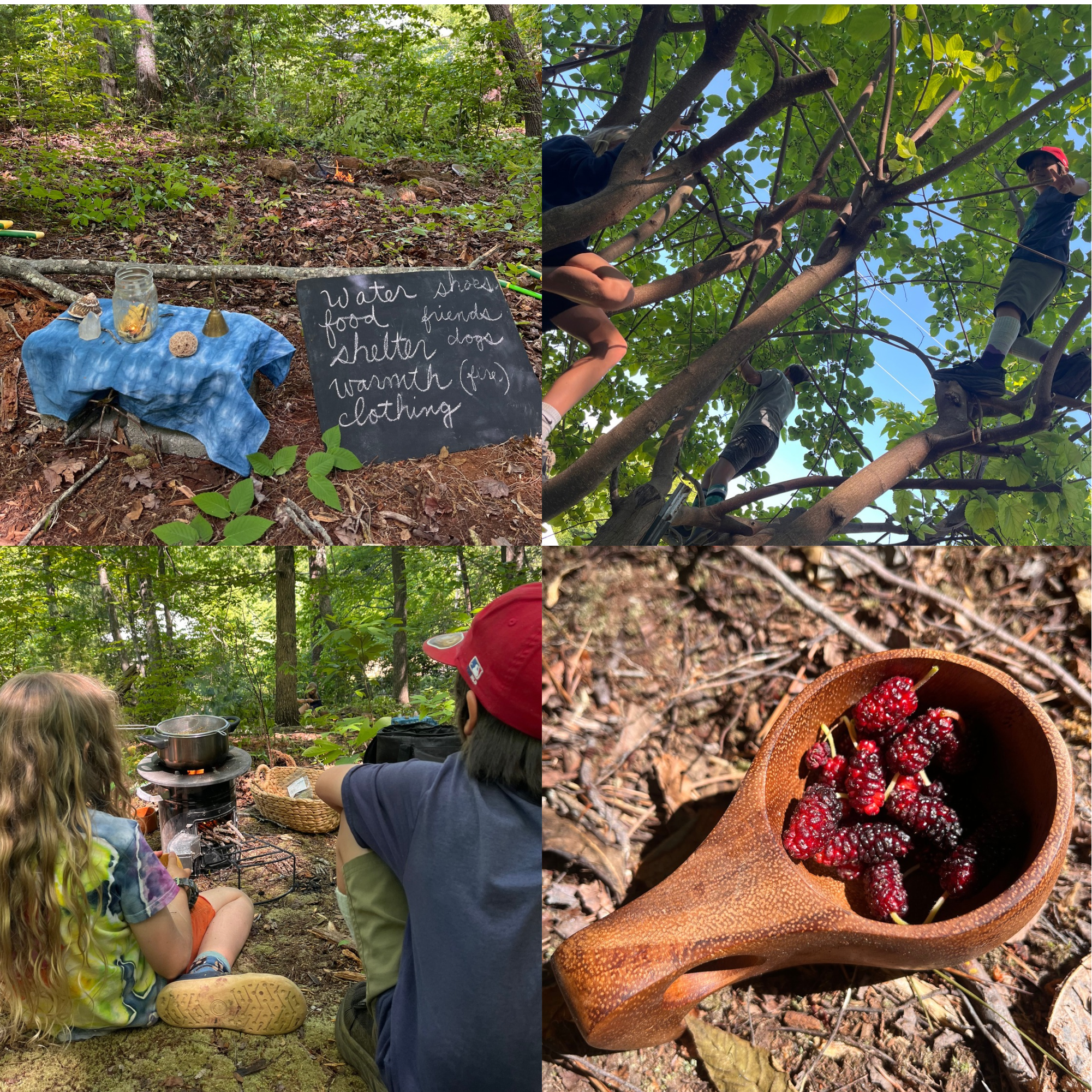 Nature Emersion Through the Grades