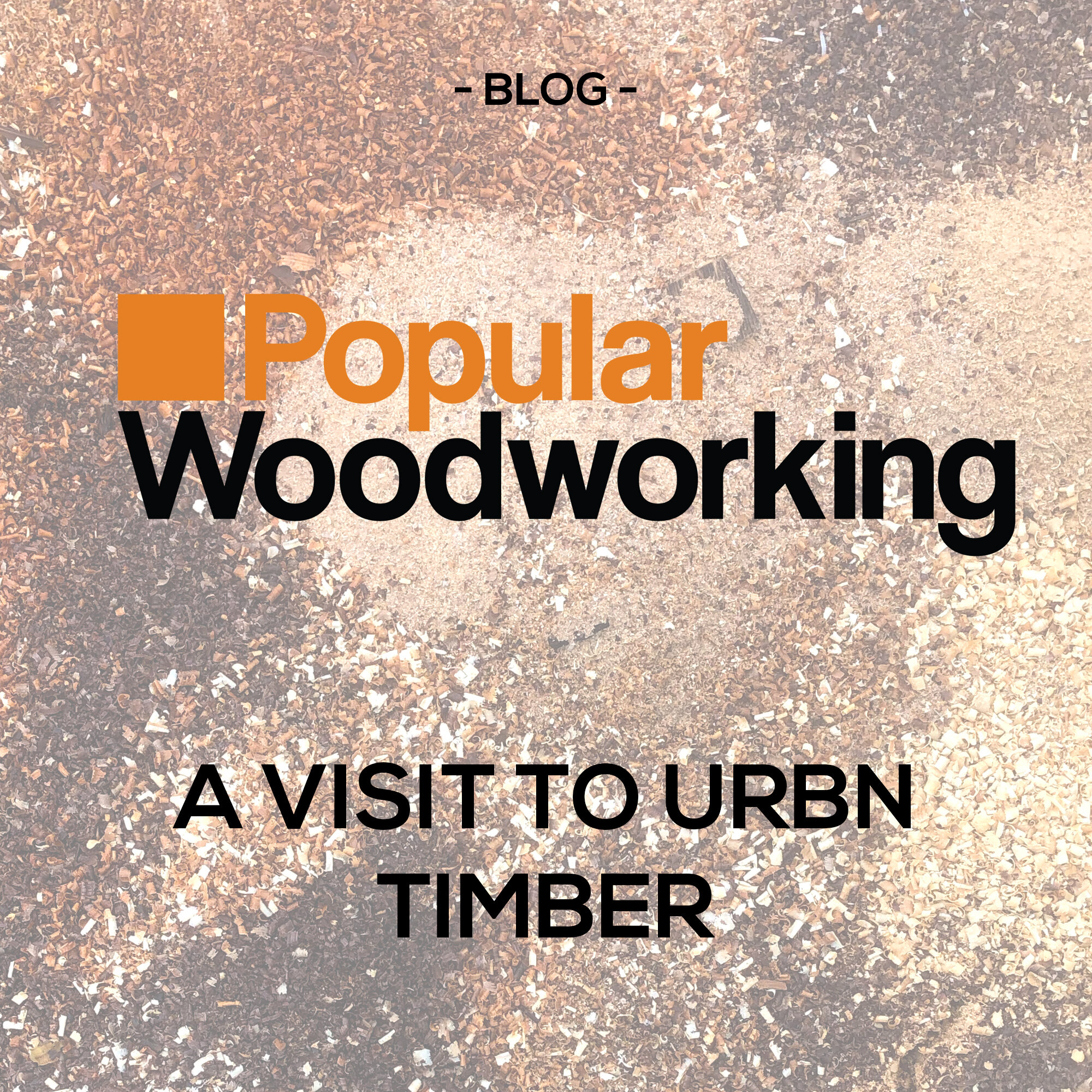 popularwoodworking.jpg