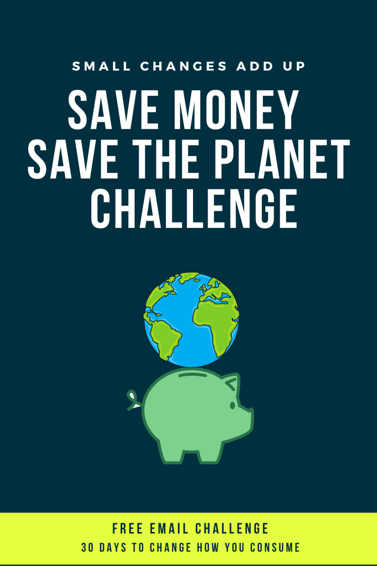 Save Money Save The — Sisters for Financial Independence