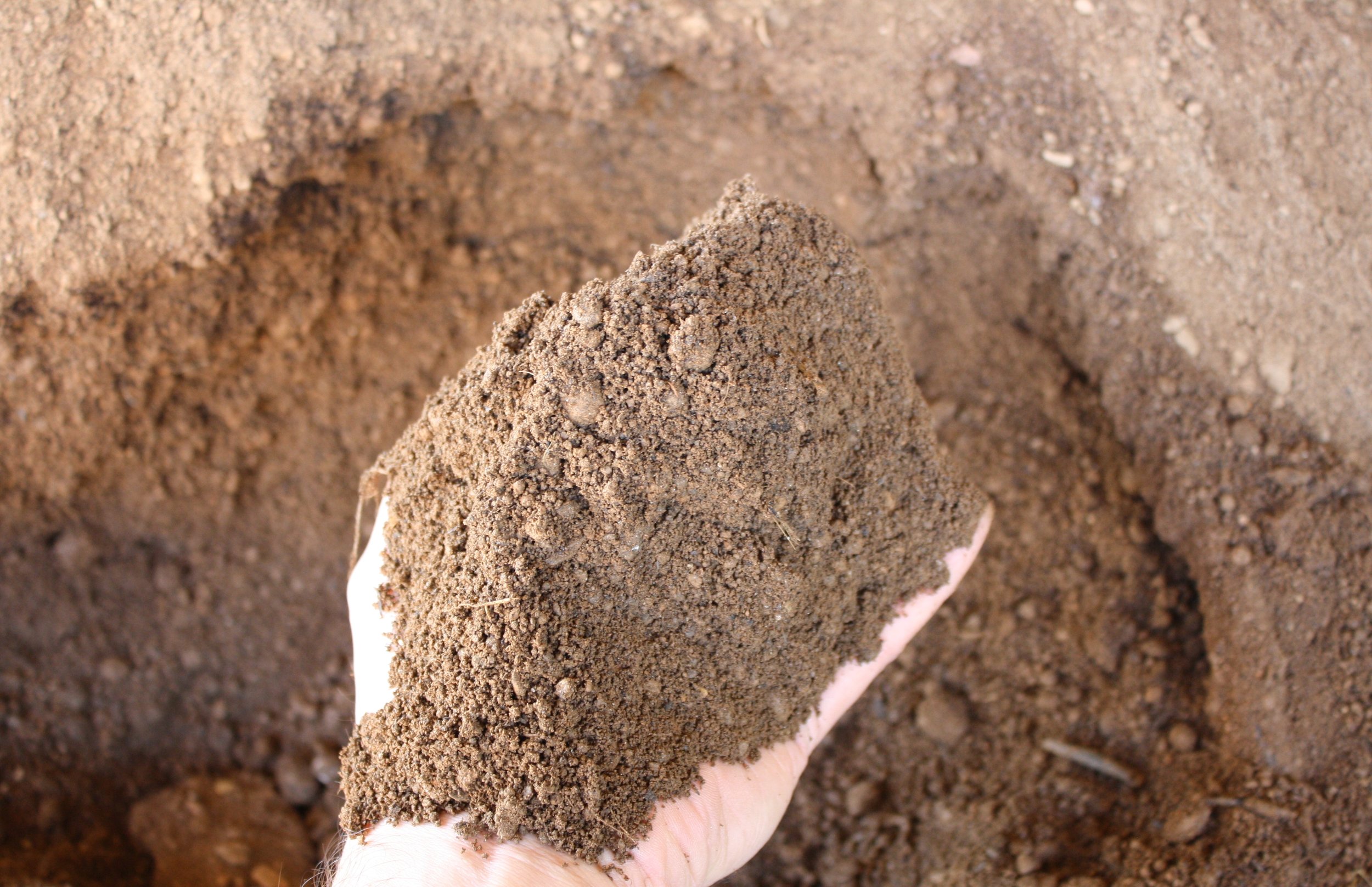 Screened Topsoil w hand.JPG