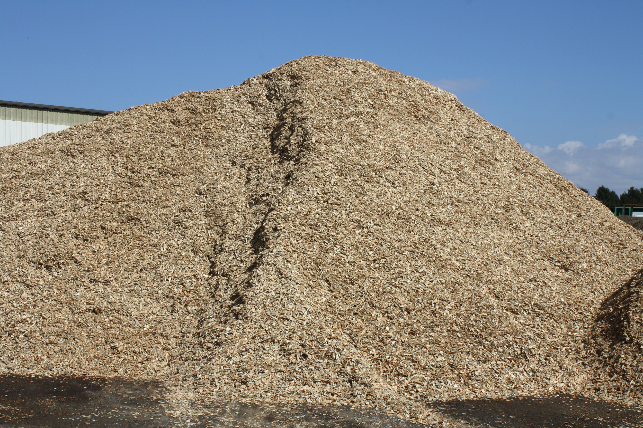 Clean Wood chips pile.JPG