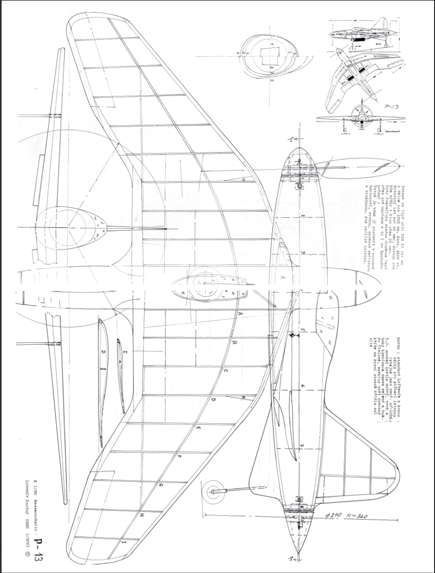 Lippisch P13 flying wing project