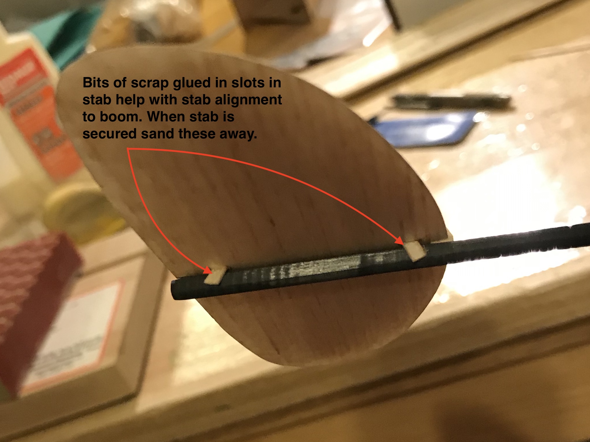 fullsizeoutput_7a8.jpeg