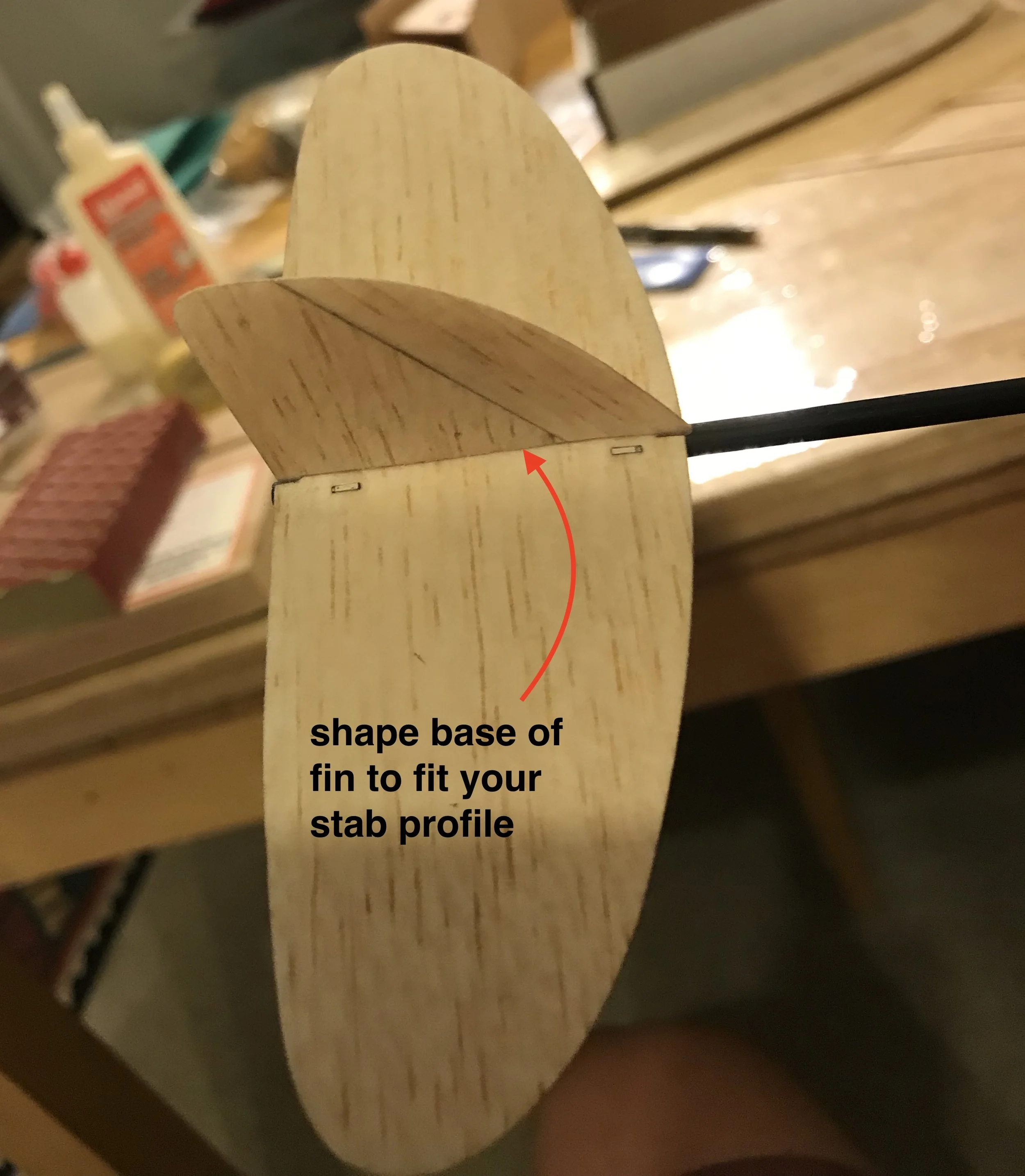 fullsizeoutput_7a3.jpeg