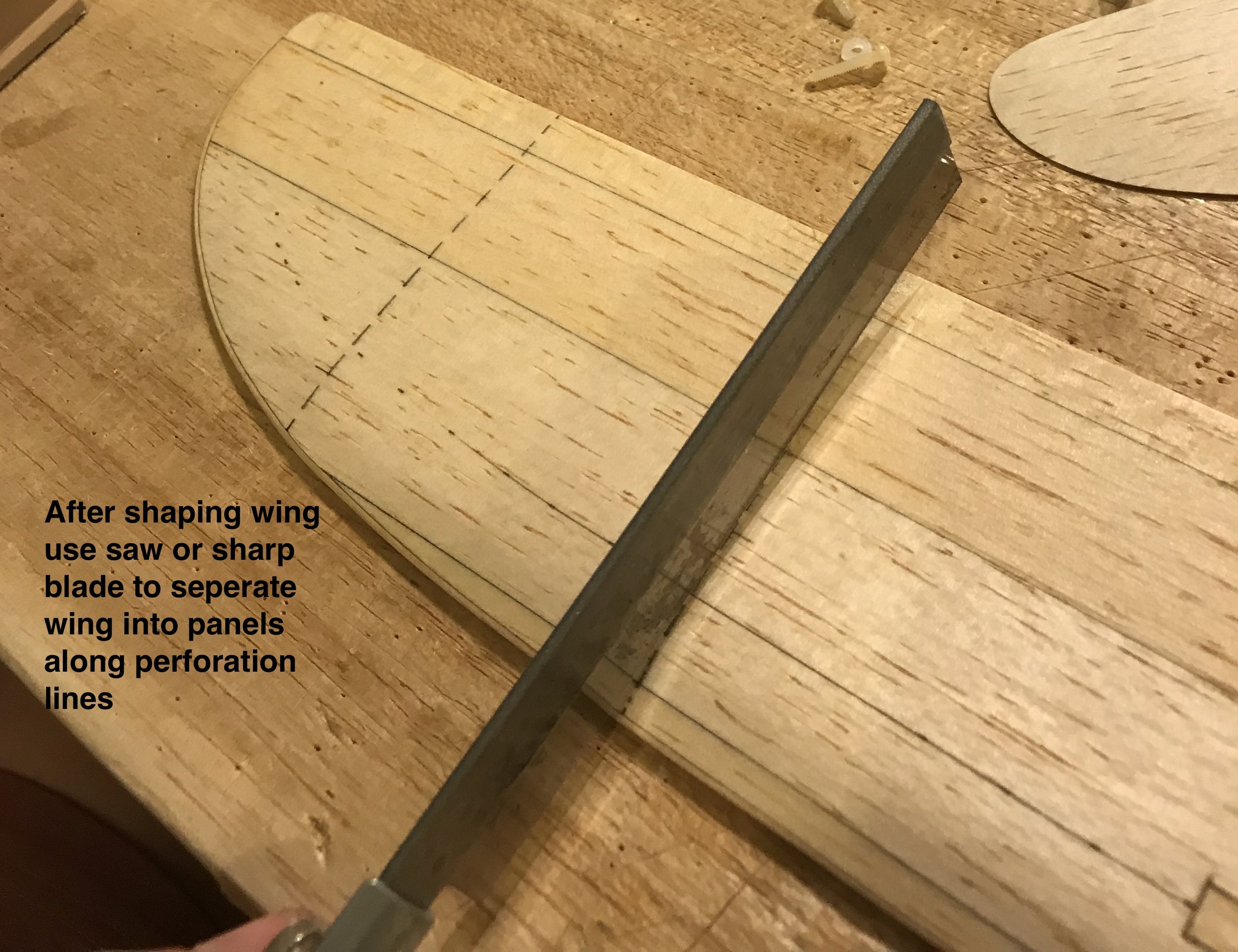 fullsizeoutput_798.jpeg