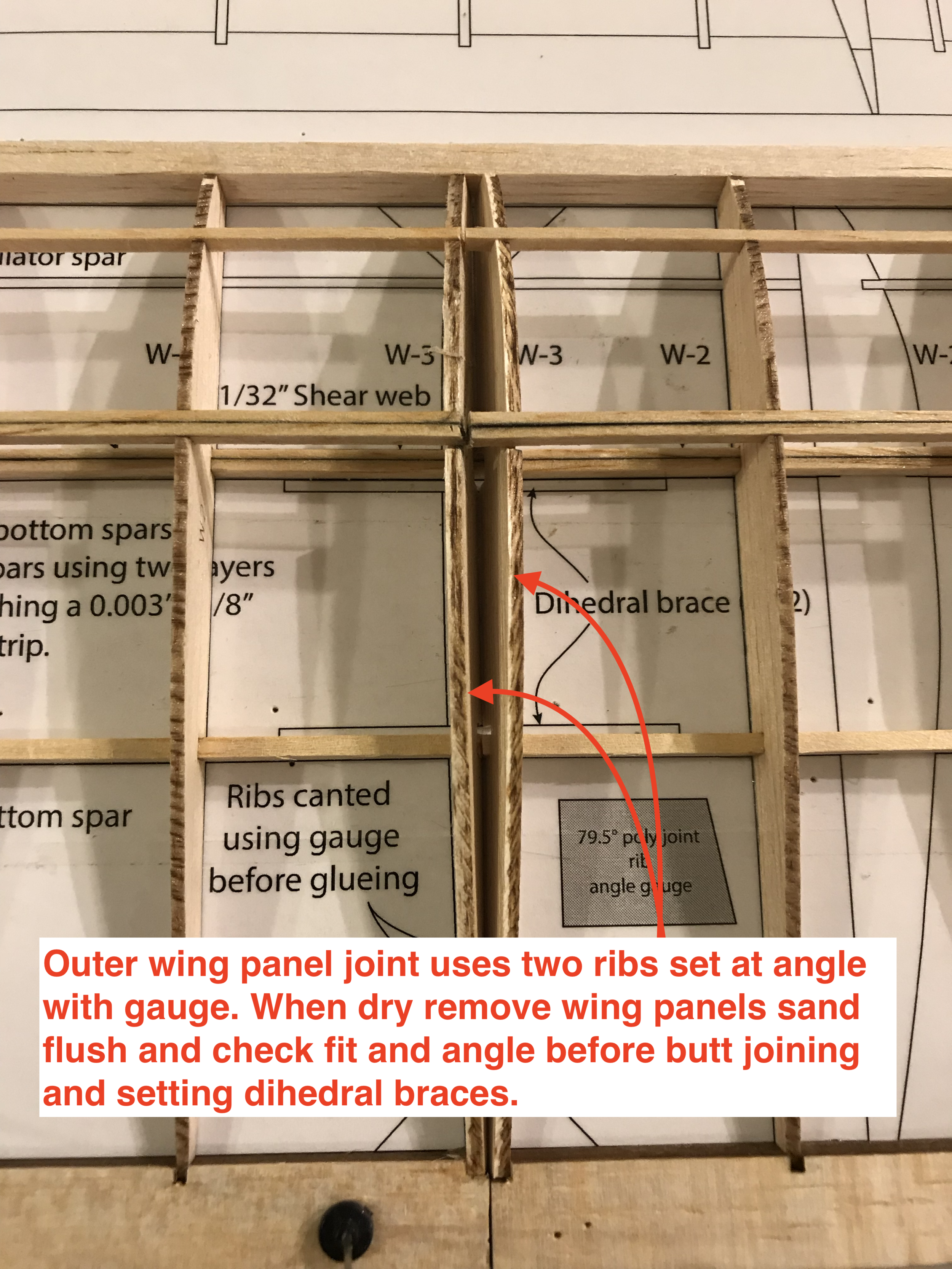fullsizeoutput_818.jpeg