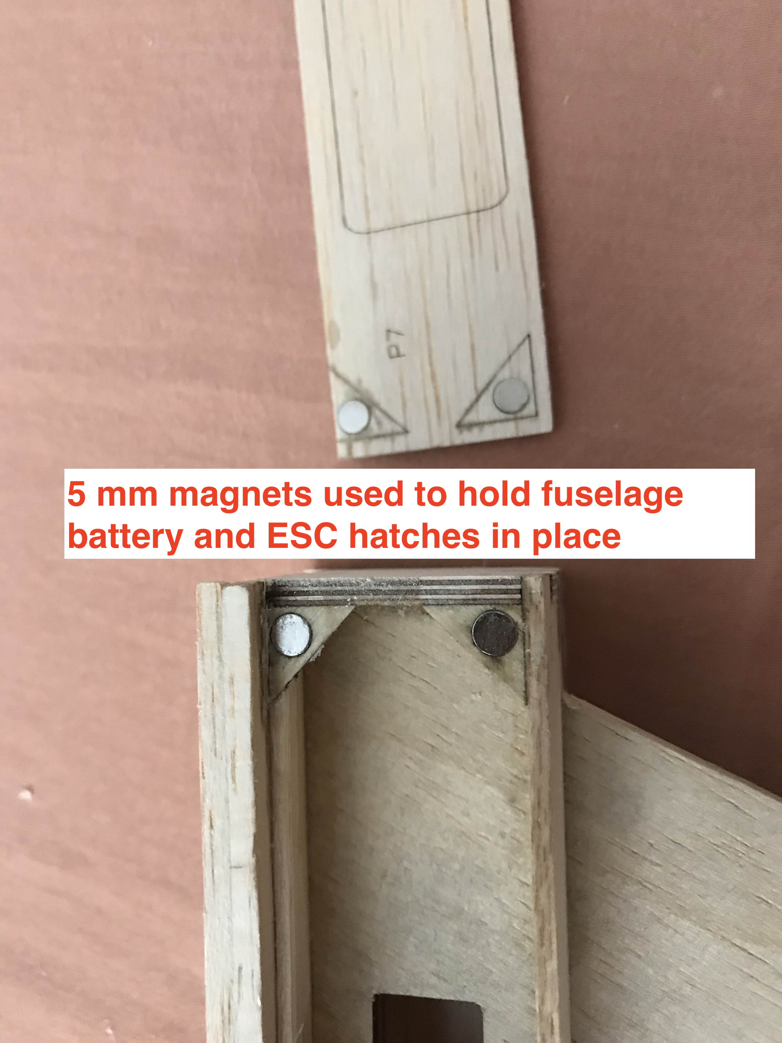 fullsizeoutput_821.jpeg