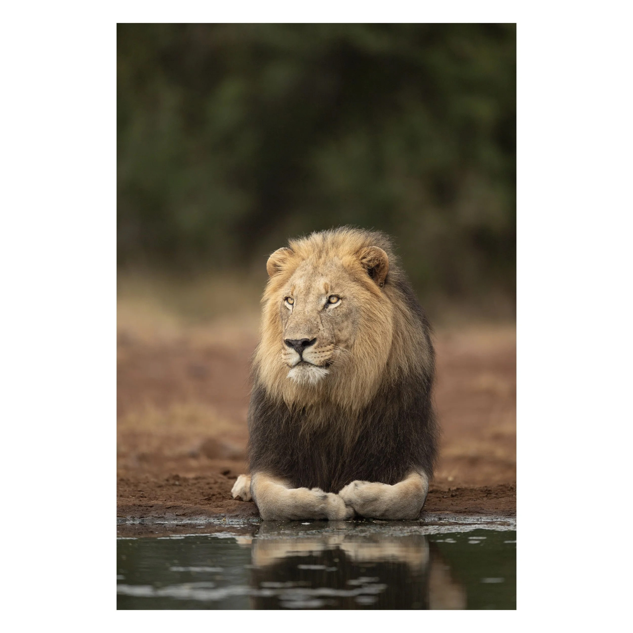 C483C98D-268B-4A10-B7A6-F1C9F85D6FDD 2.JPG