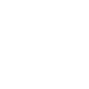 twitter-social-logotype.png