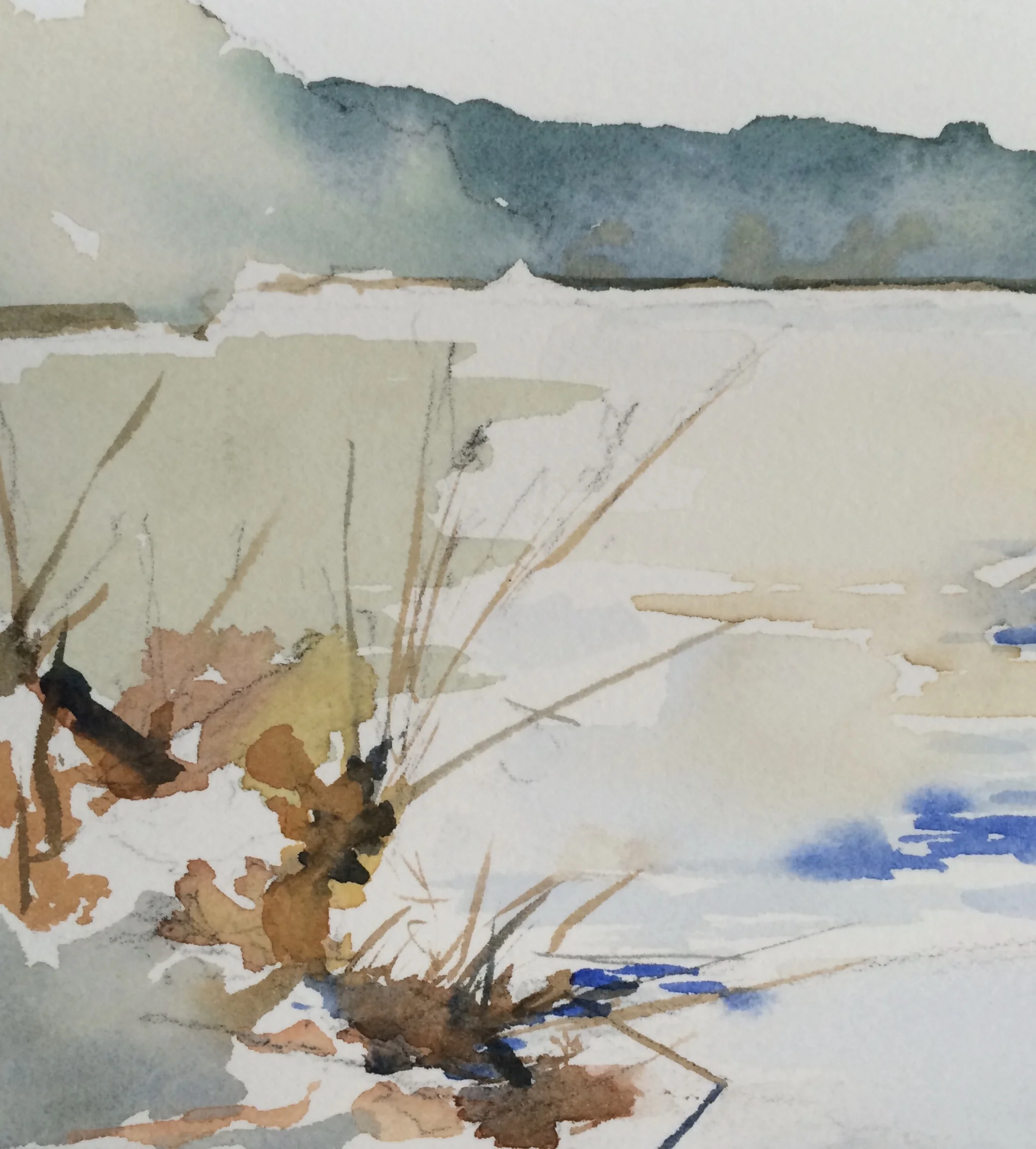 Reeds