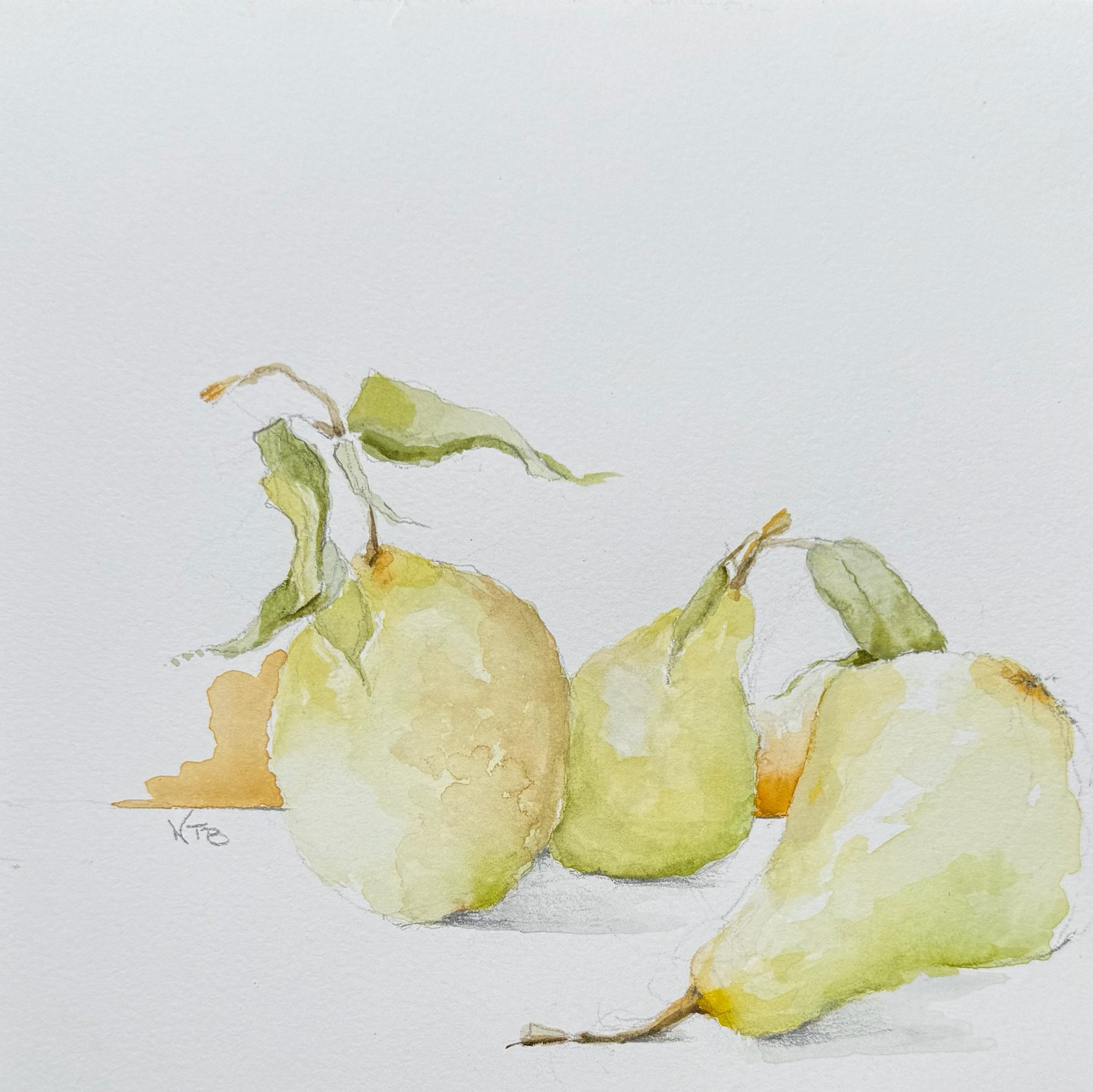 Pear Study