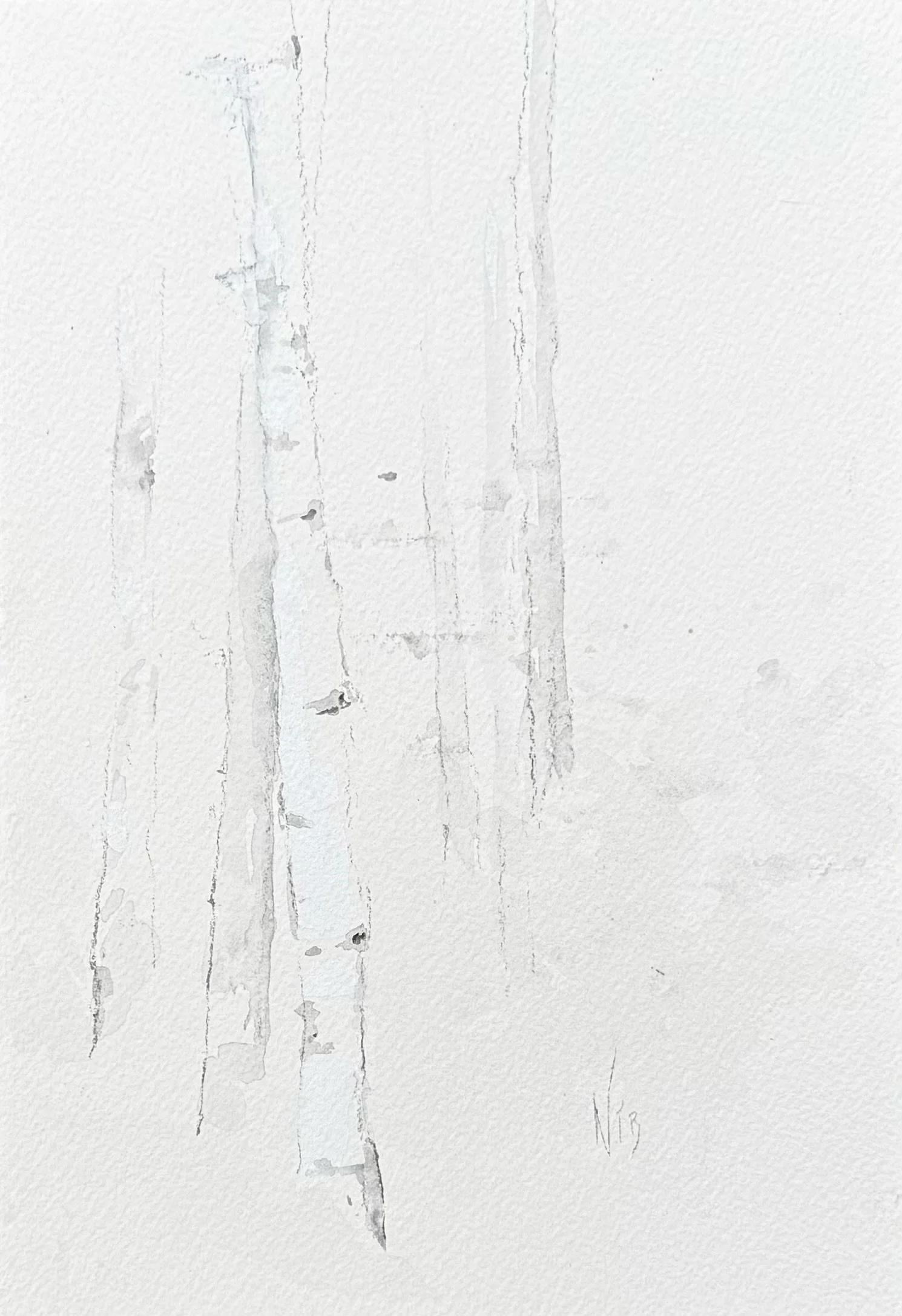Birch Grove