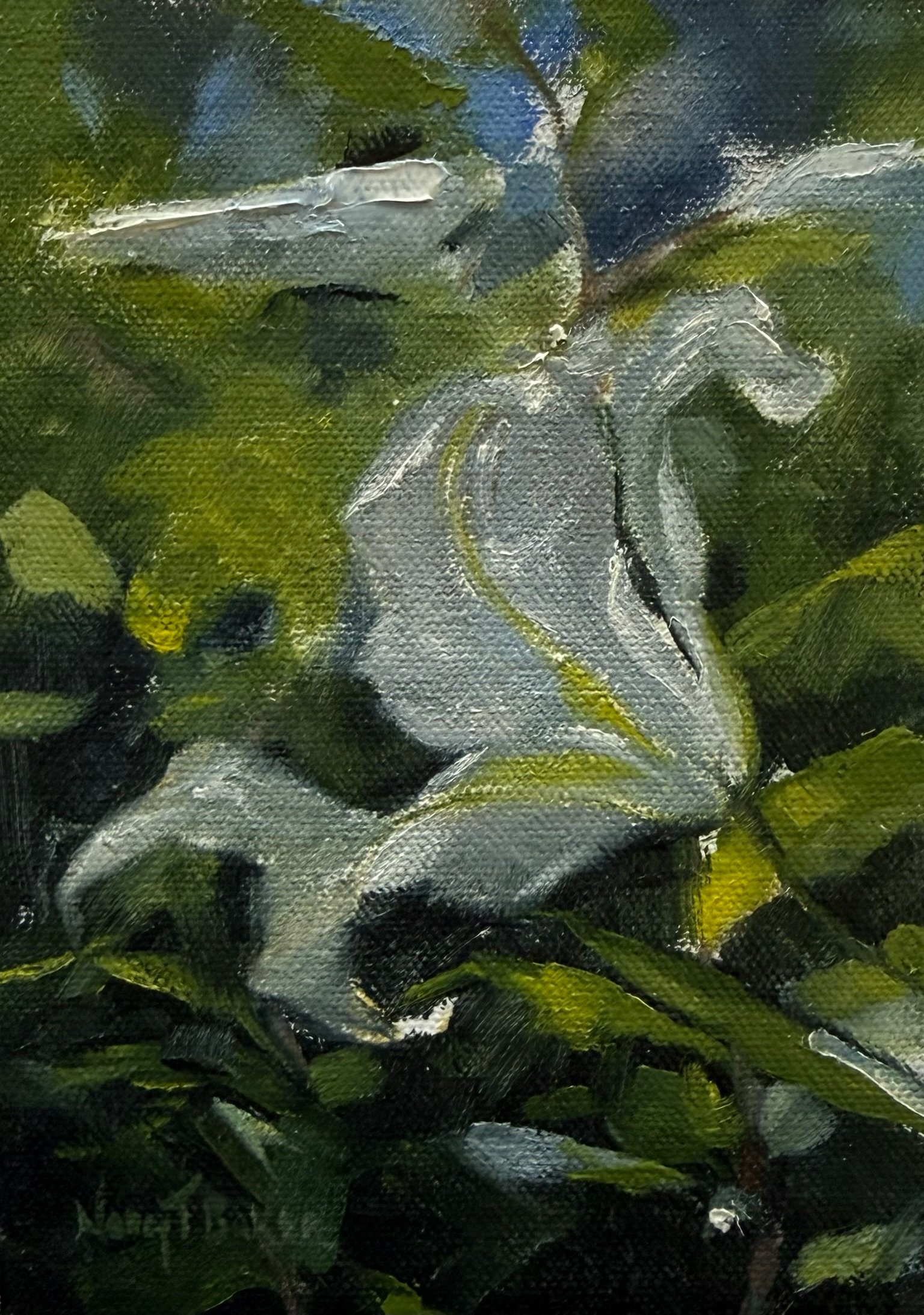 Early Bloom