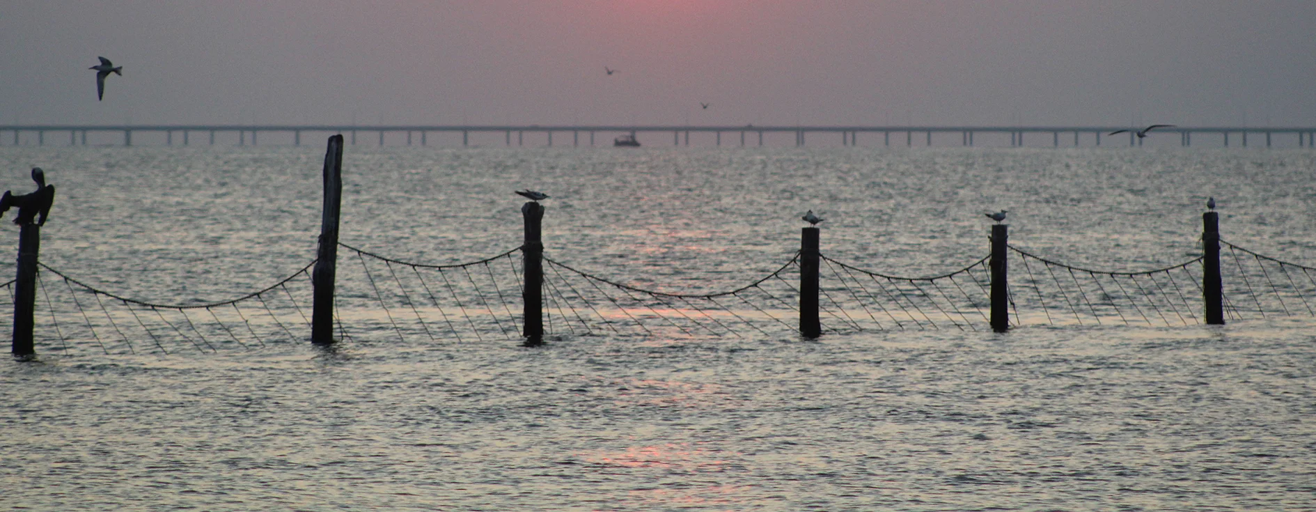 chesapeake_bay_2x.jpg