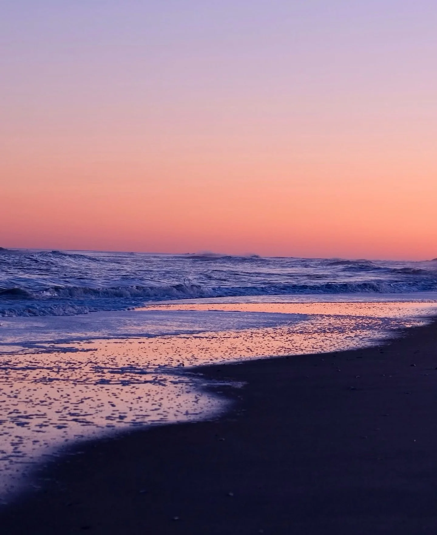 Big fans of this color palette.👆

Photo: @mmgill