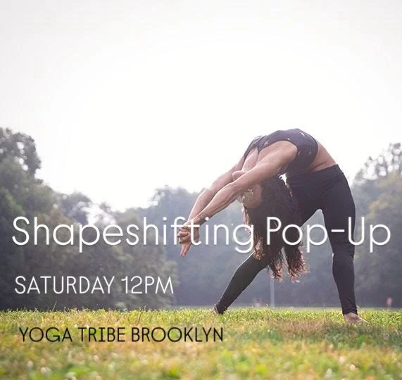 Shapeshifting 12pm
Saturday 12/20
@yogatribebrooklyn 
&zwnj;
This is a &ldquo;yoga conditioning&rdquo; class for any level looking to improve their spine mobility and overall strength through different exercises and drills that mimic yoga postures.
&