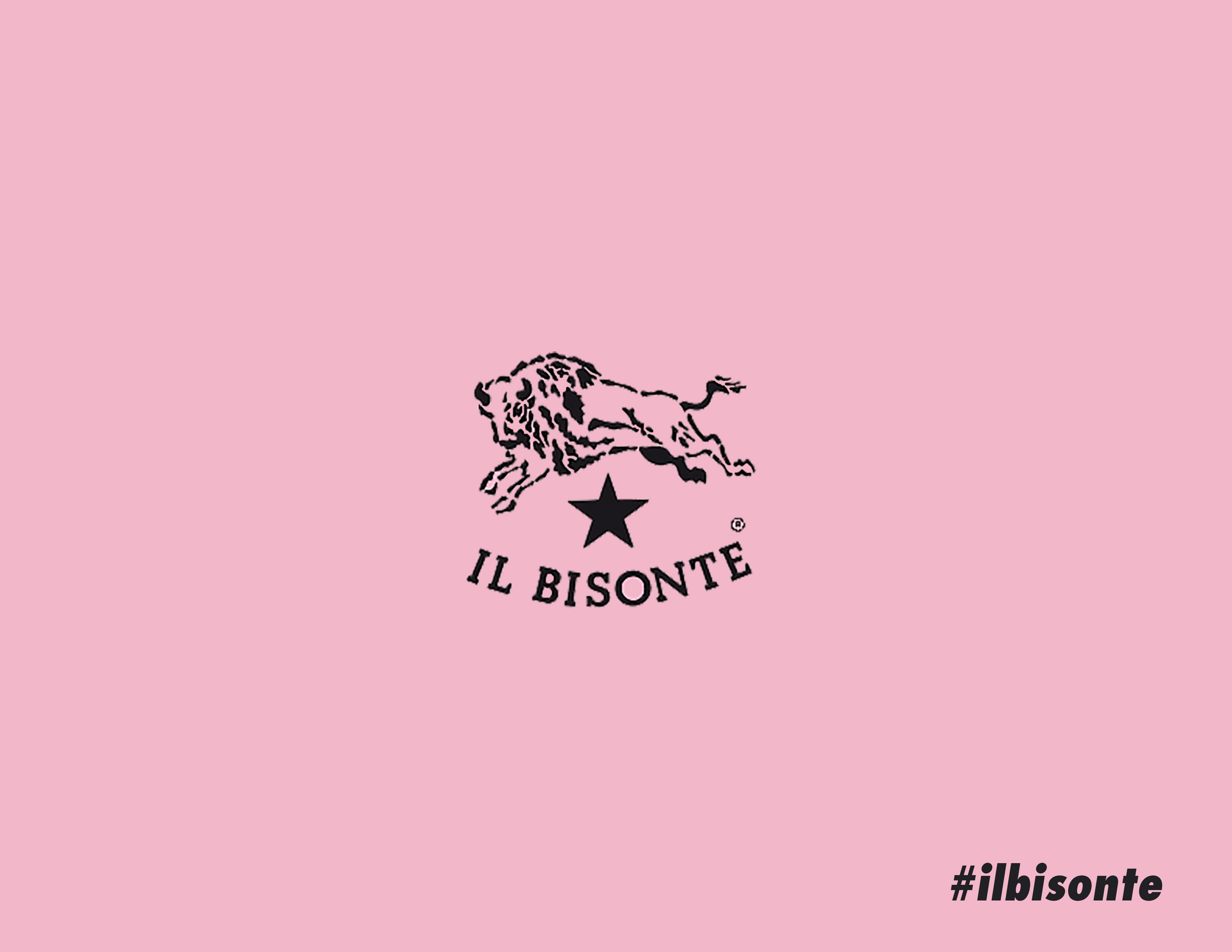 il bisonte glossier.jpg