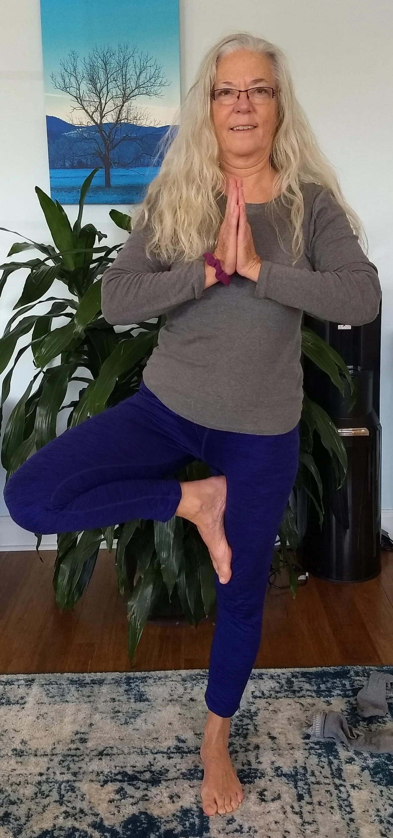 blue ridge yoga yogis.jpeg