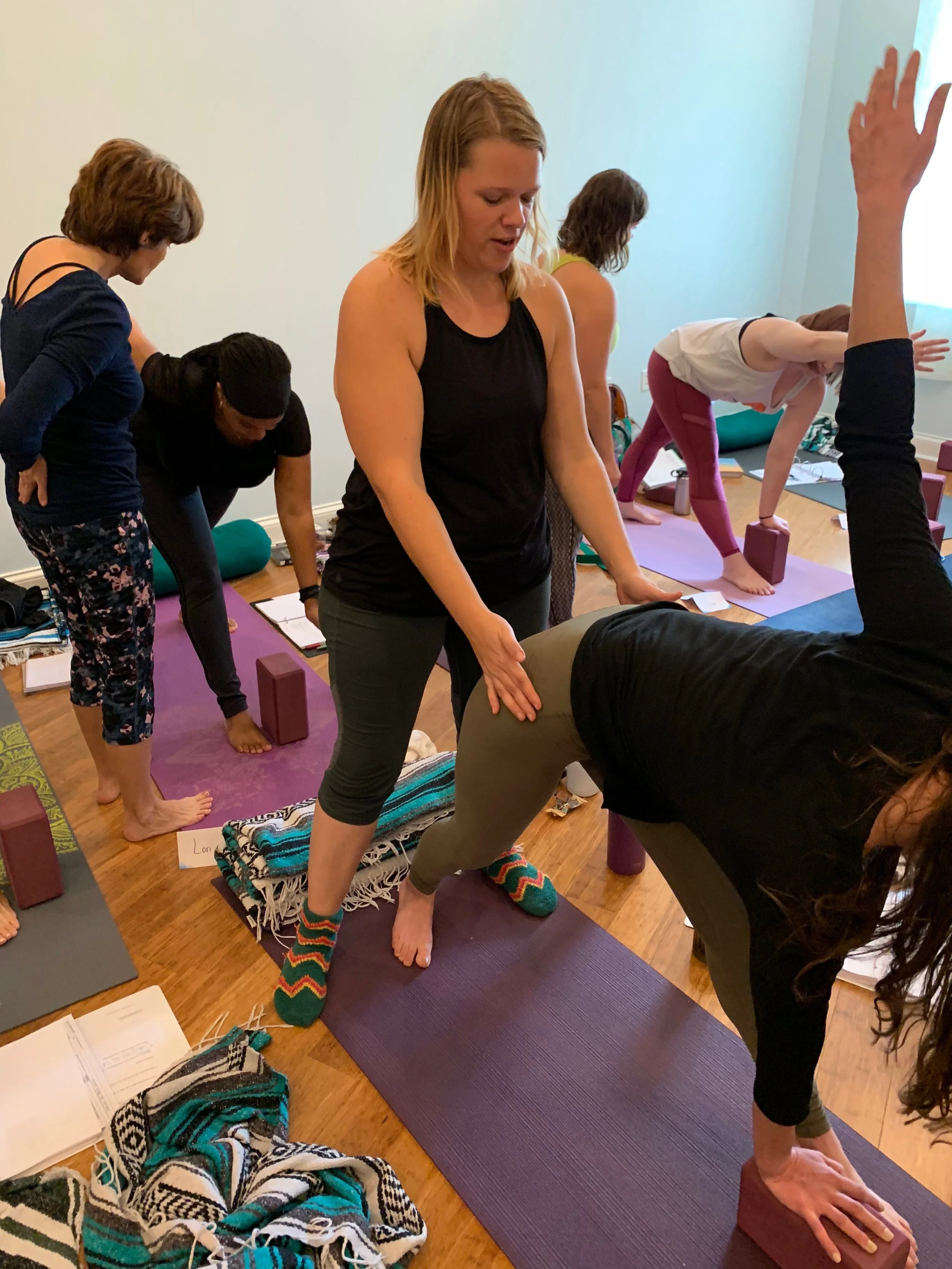blue ridge yoga teacher training.jpg