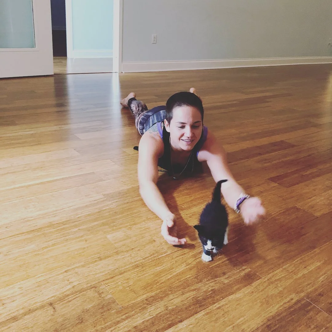 kitten yoga blue ridge yoga.jpg