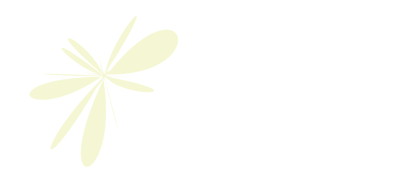 bayaerialsmockup-19.png