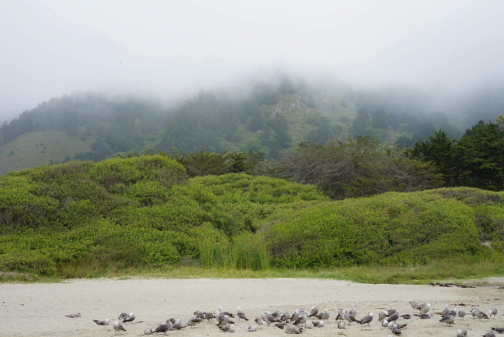  Stinson Beach CA 