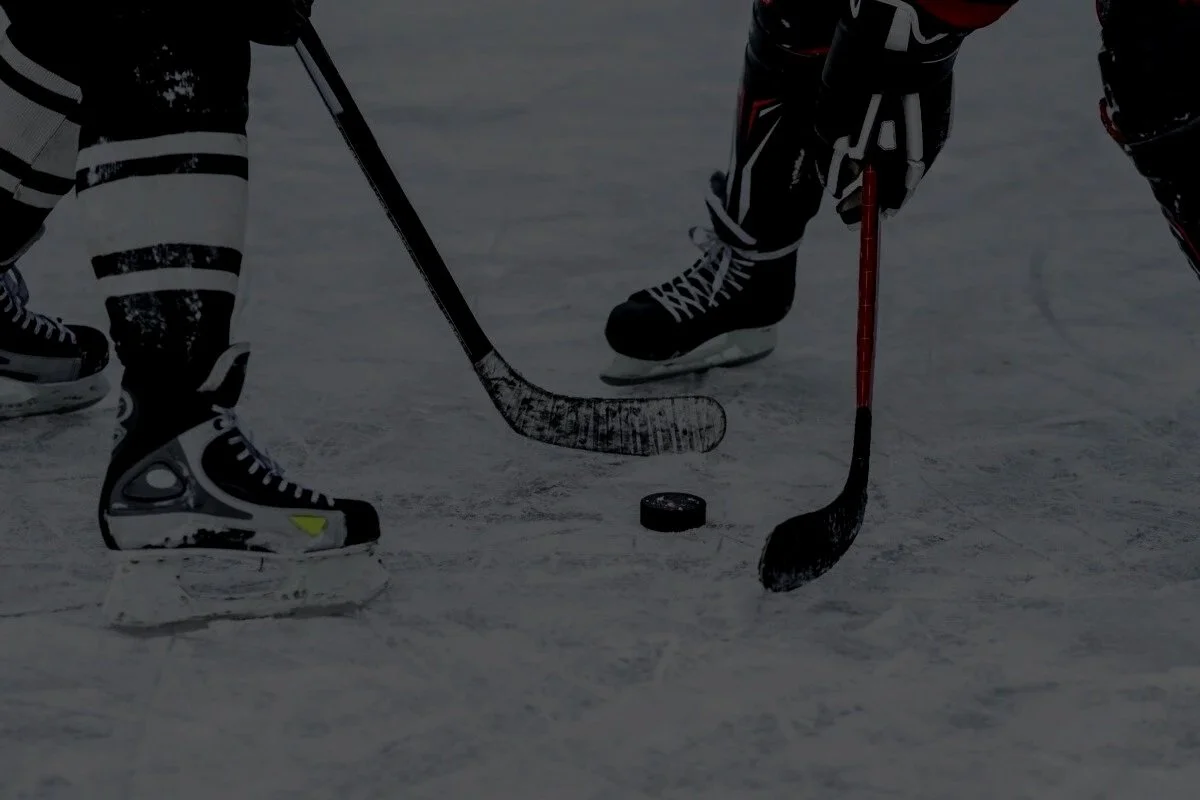 hockey-stock.jpg