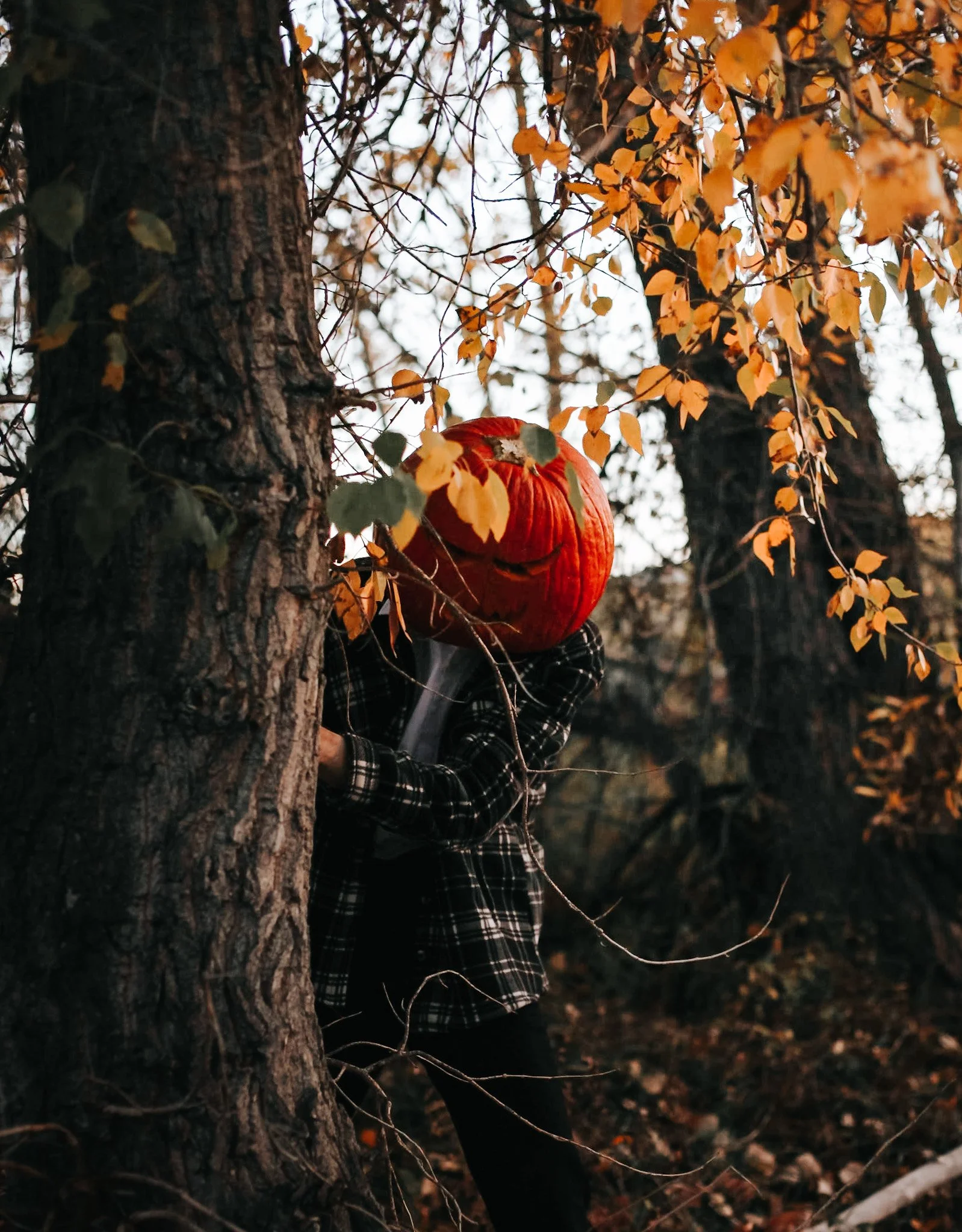 Haunted10.jpg