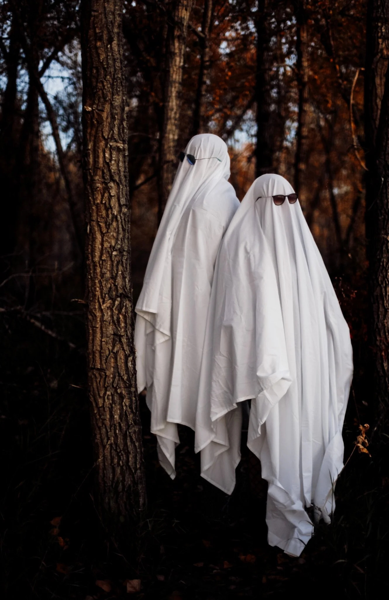 Haunted74.jpg