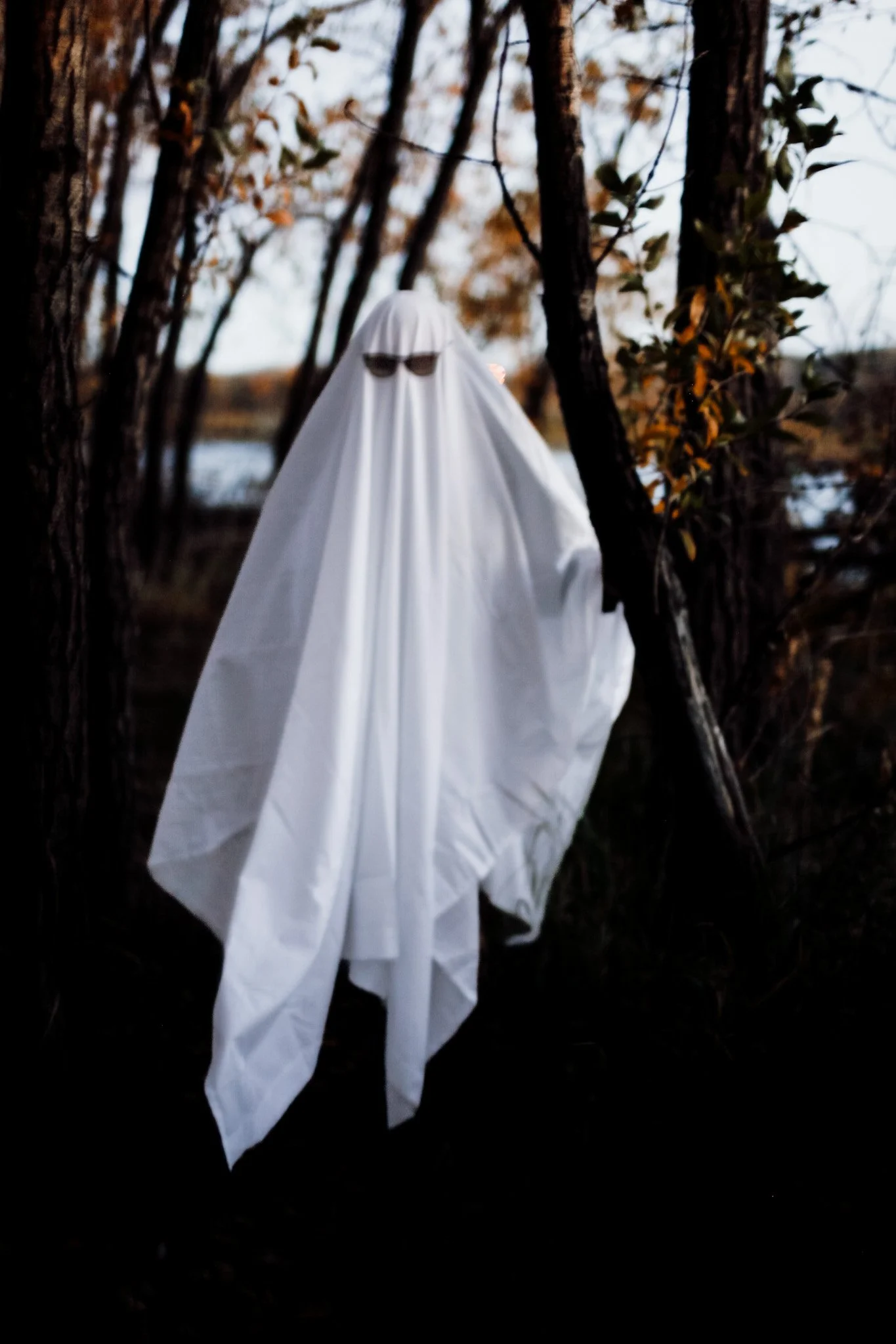 Haunted79.jpg